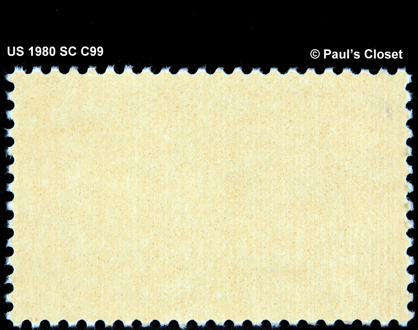 US 1980 SC C99 BLANCHE S. SCOTT 28¢ MINT NEVER HENGED ORIGINAL GUM VERY FINE