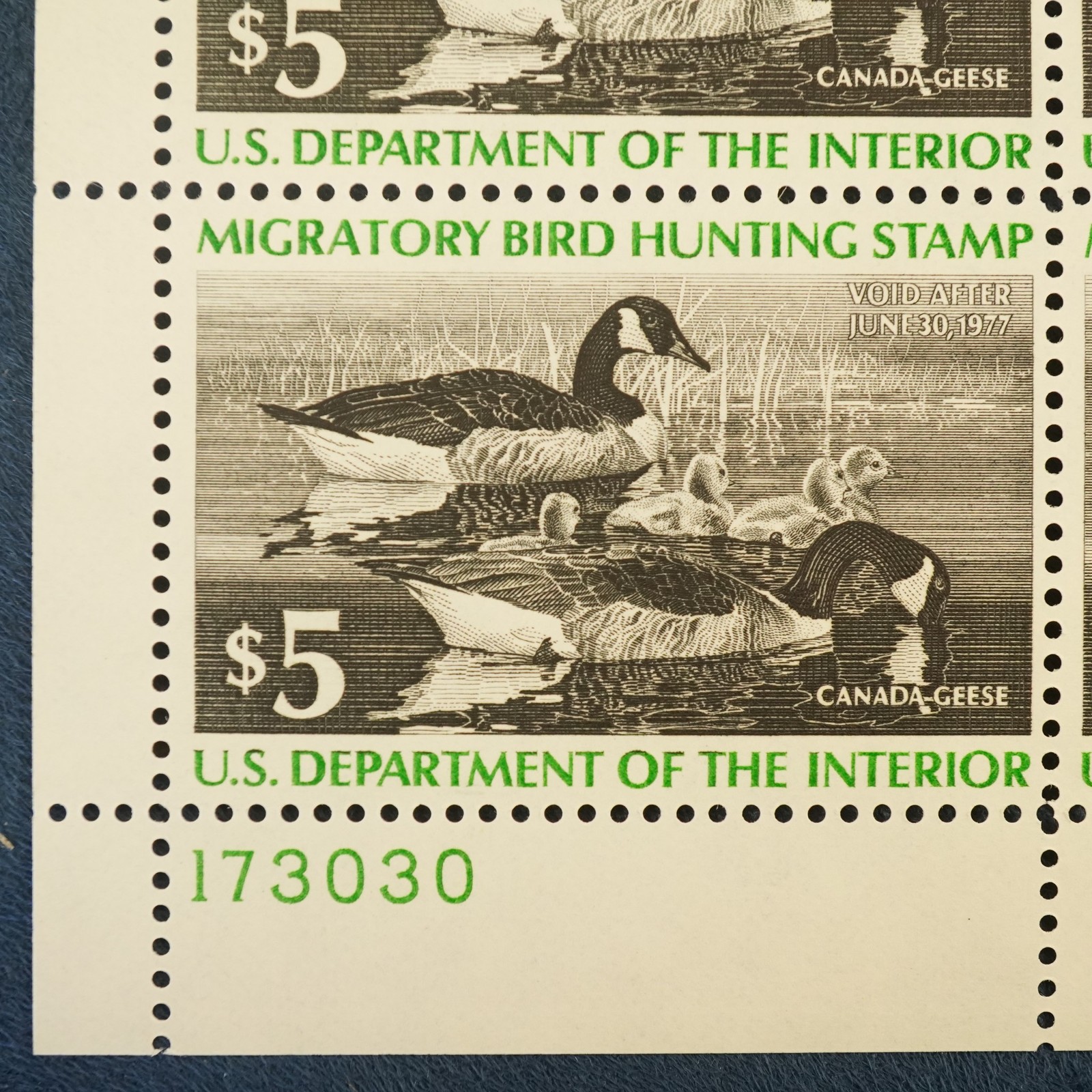 1976 U.S. $5 Federal Duck Stamp 4x Mint Plate Block of 4, MNH, Canada Geese RW43