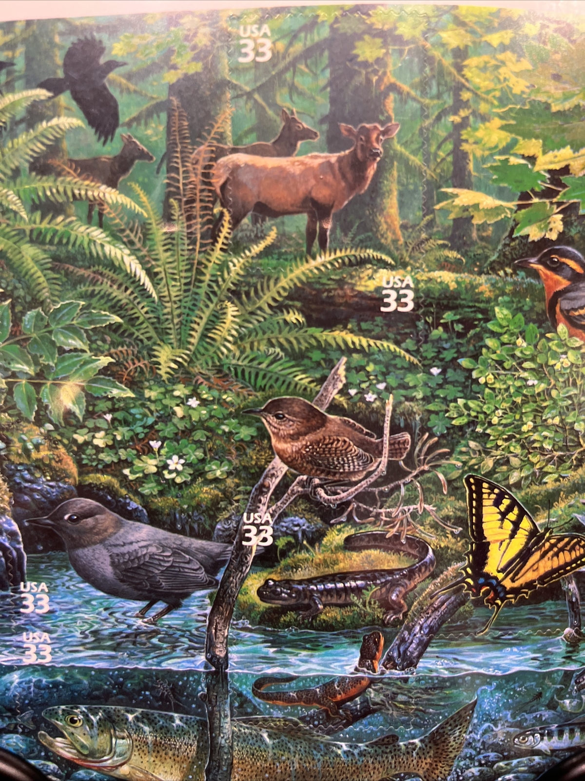 US POSTAGE STAMPS SECOND IN A SERIES “PACIFIC COAST RAIN FOREST” SHEET OF 10 .33