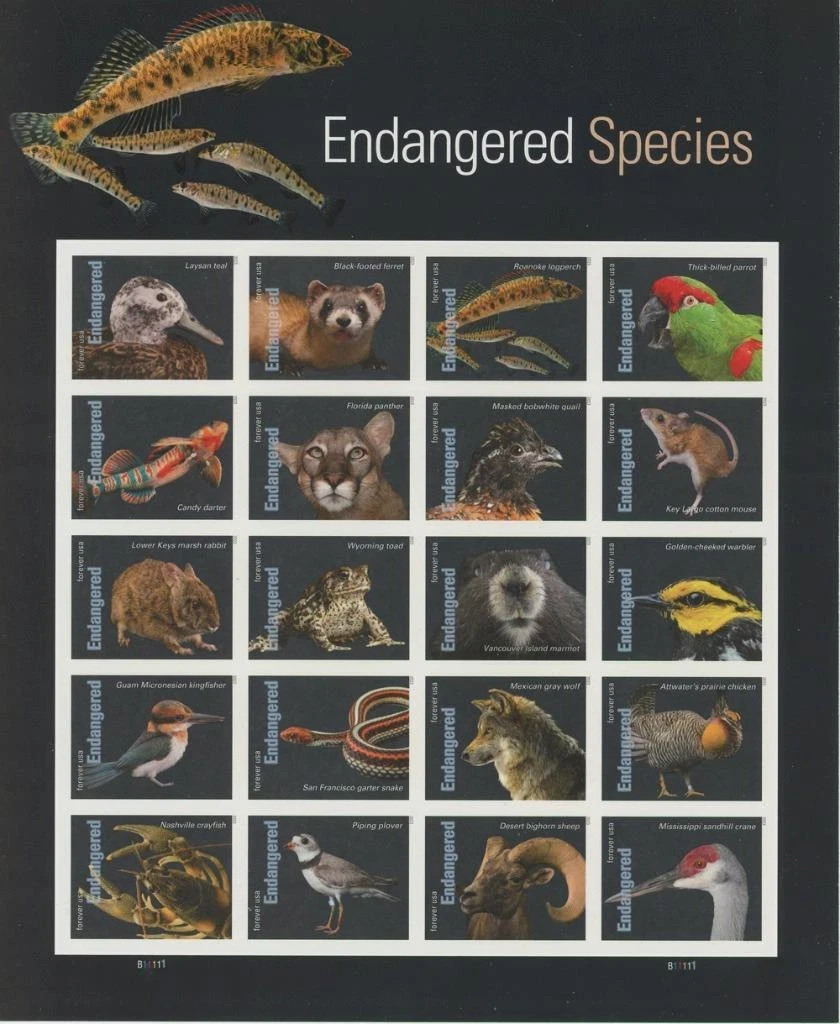 Scott # 5799. Endangered Species – Pane of 20 Forever Stamps – 2023 – Sheet