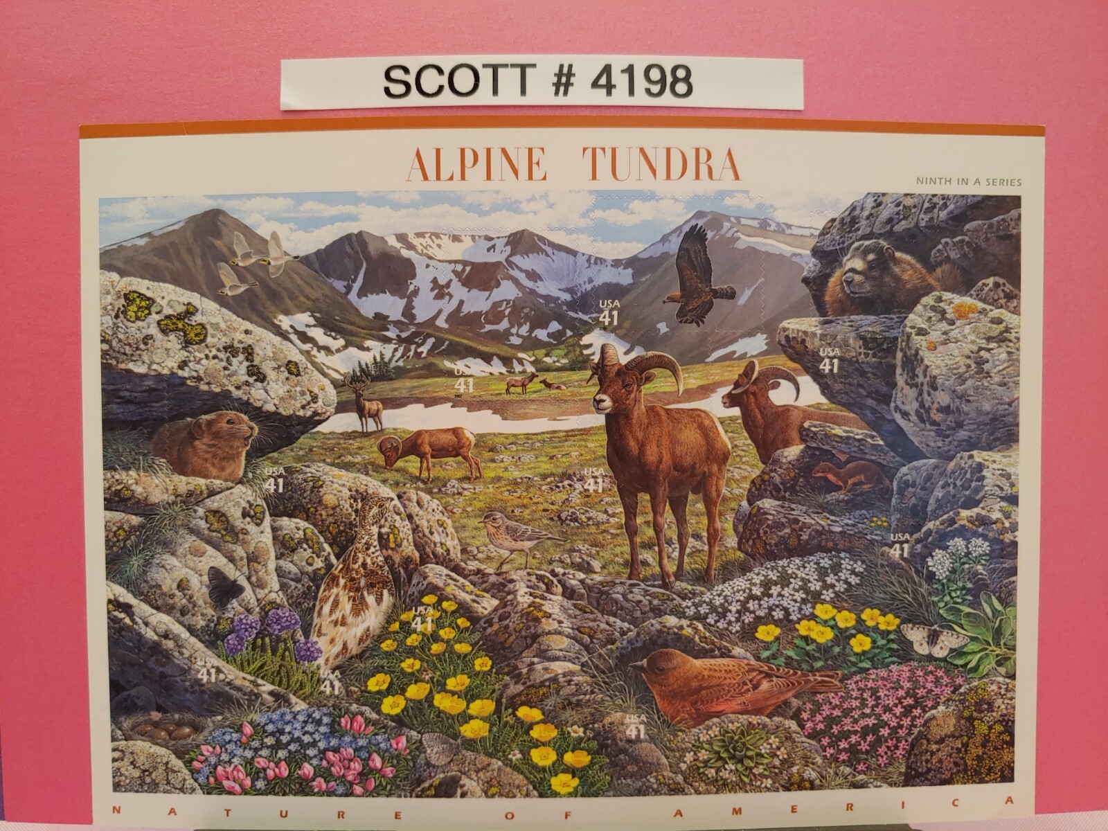 Complete Nature of America Series Stamps (12 Sheets) – USPS Postage Stamps