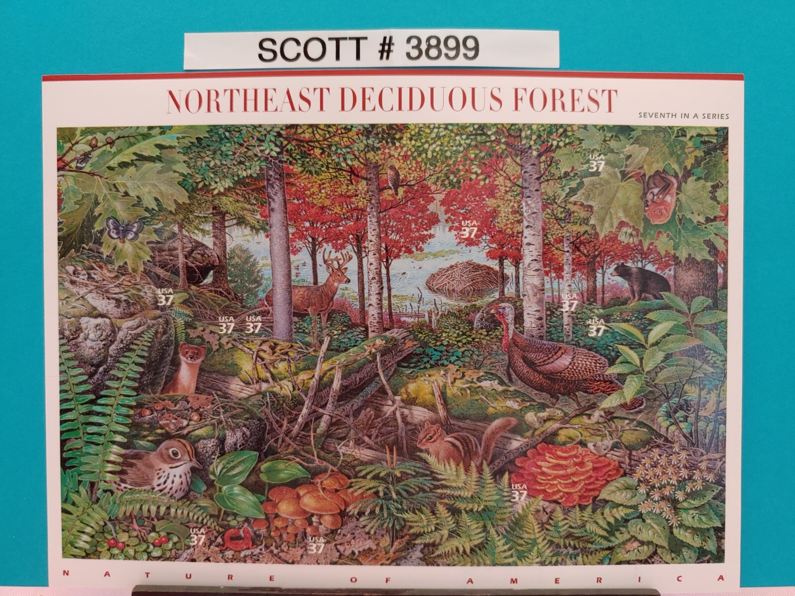 Complete Nature of America Series Stamps (12 Sheets) – USPS Postage Stamps