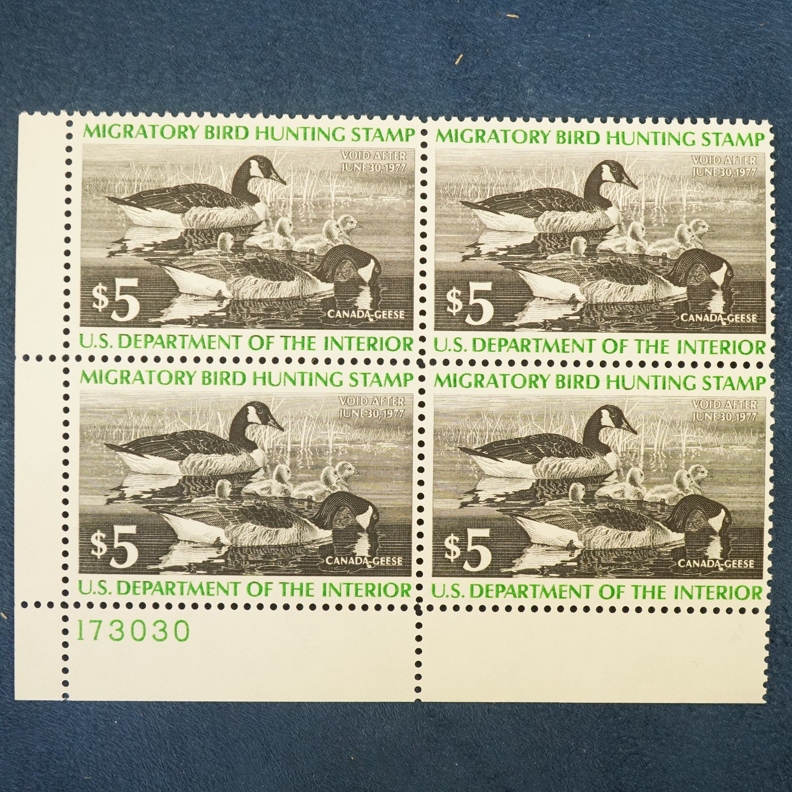 1976 U.S. $5 Federal Duck Stamp 4x Mint Plate Block of 4, MNH, Canada Geese RW43