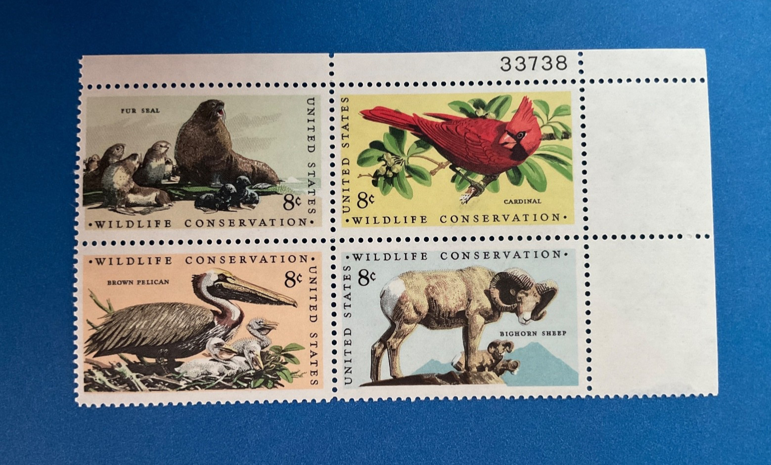 Wildlife Conservation 1972