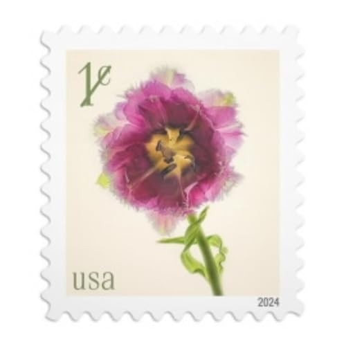 Fringed Tulip 2024 1-Cent () Denominated Mail-Use Additional Strip of 100