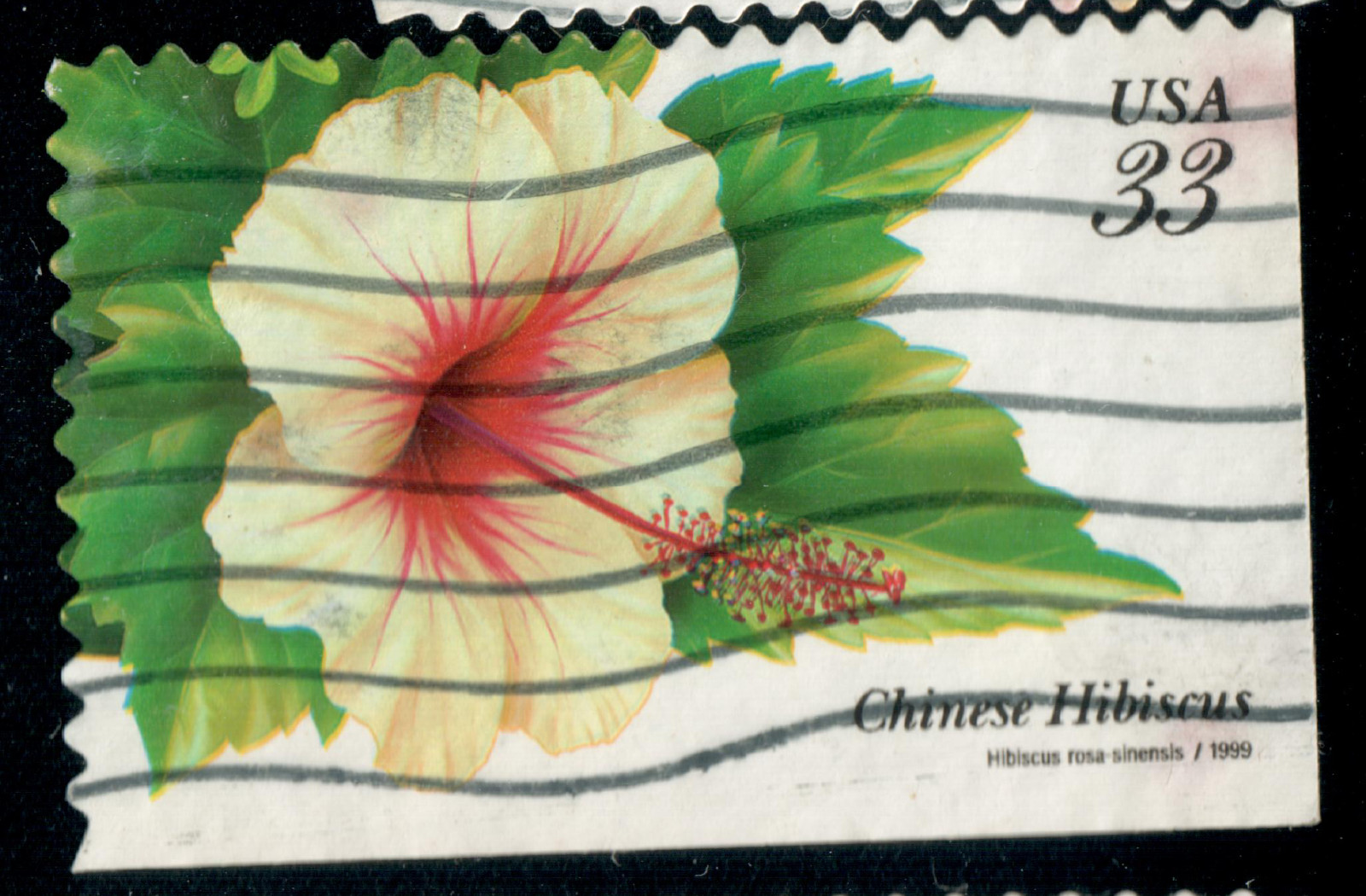 USA – 1999 – Tropical Plants – Hibiscus rosa-sinensis – 33¢ – #3824