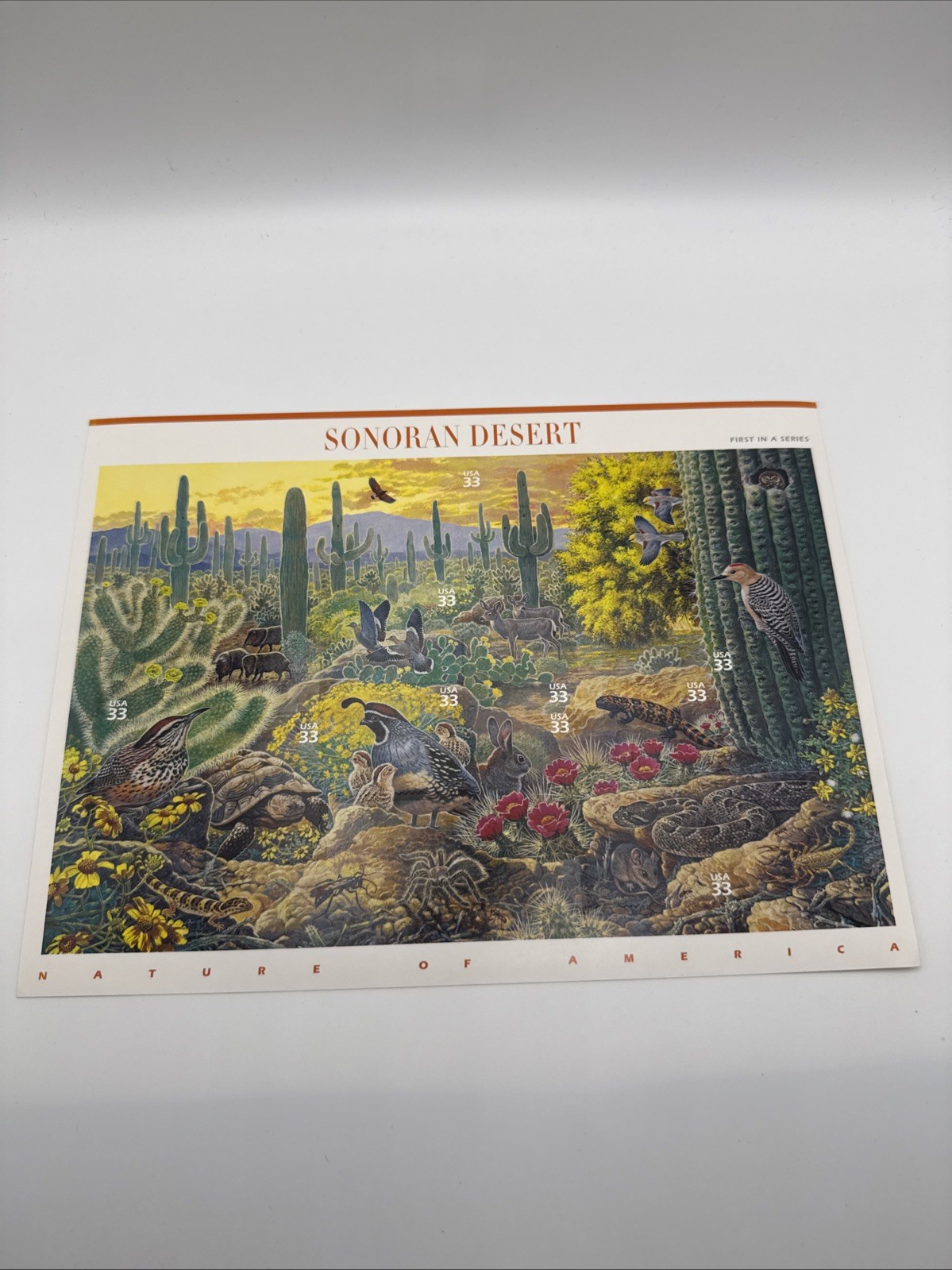 US SCOTT 3293 PANE OF 10 SONORAN DESERT 33 CENT FACE MNH 1ST IN SERIES