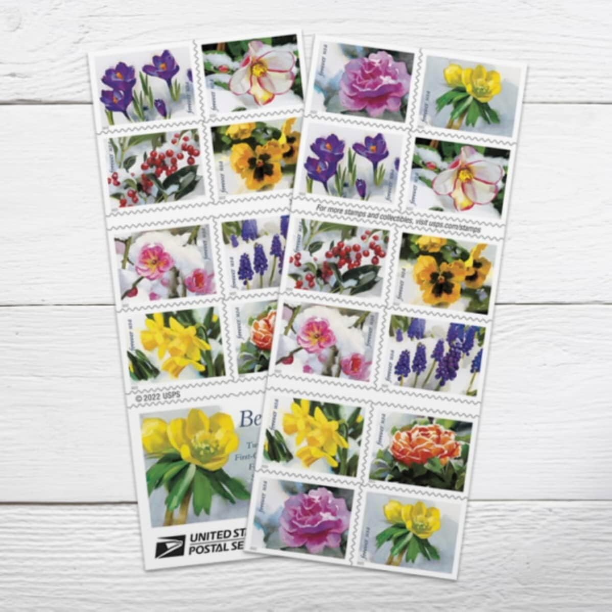 Snowy Beauty Winter Floral Forever 100 Stamps Scott 5727-5736 MNH USPS Wedding
