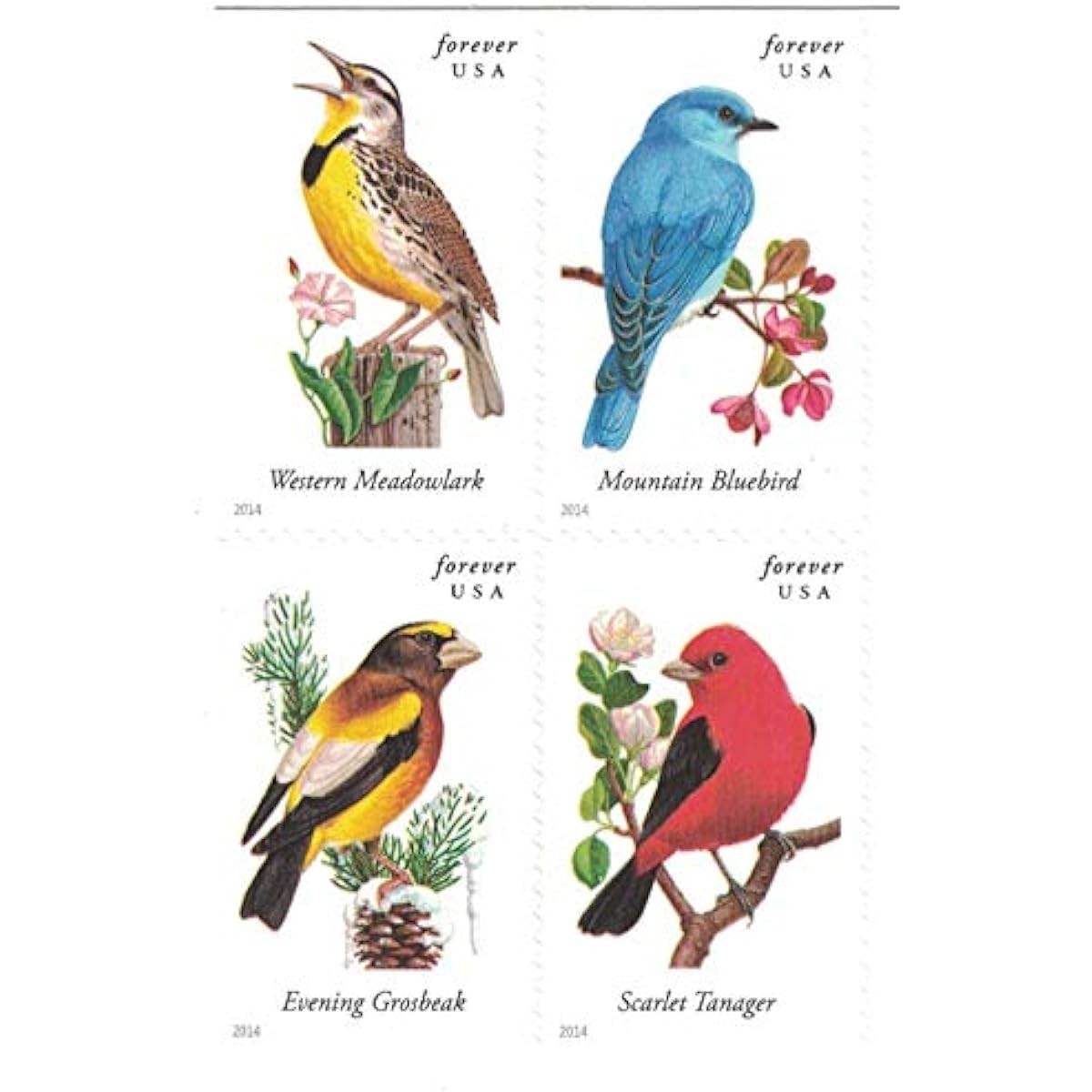 Songbirds Forever Stamps Sc#4891b MNH Full 5 Booklet Pane of 20 Mint ,100 total