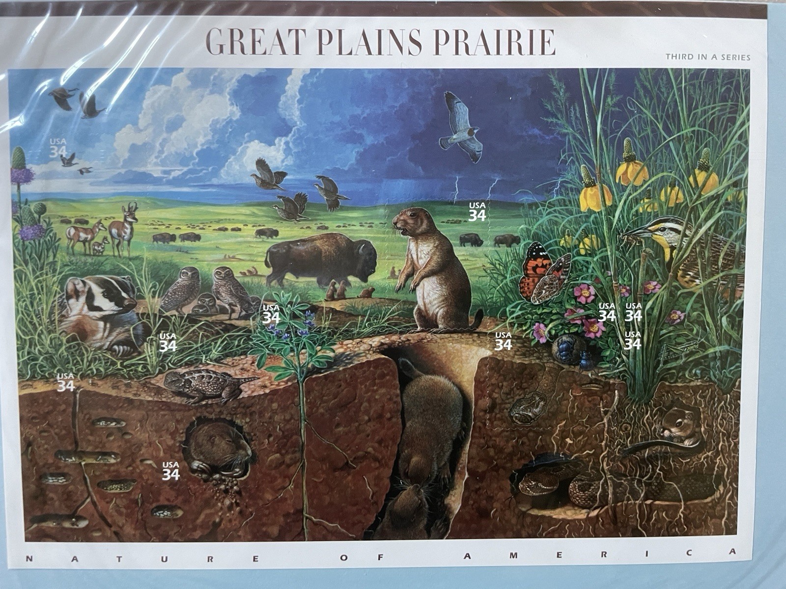 Complete Set of 12 NATURE OF AMERICA Sheets US Postage Stamps USA Sc 3293 – 4474