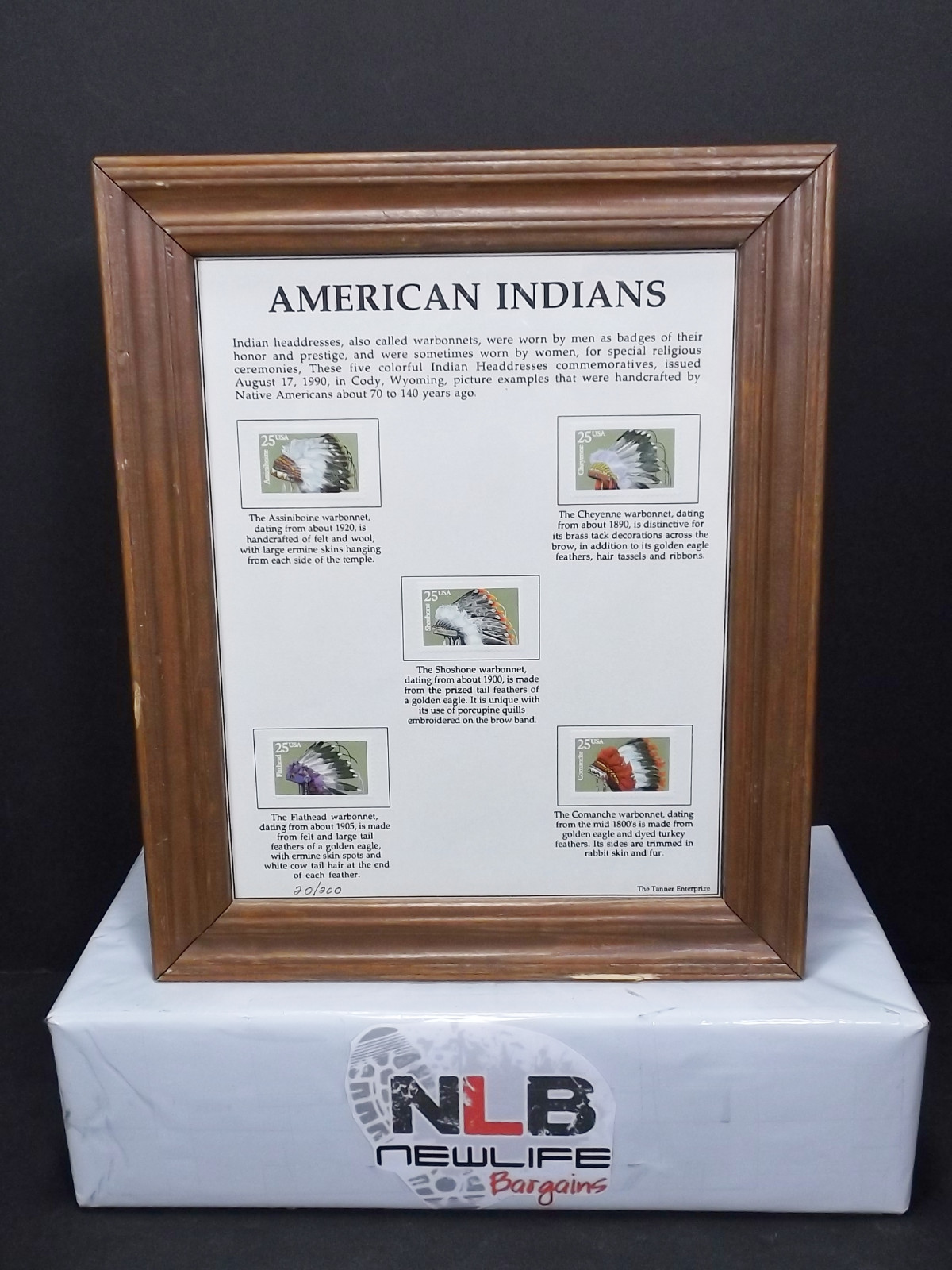 1990 American Indian Headdresses Stamps 25c Wood Frame
