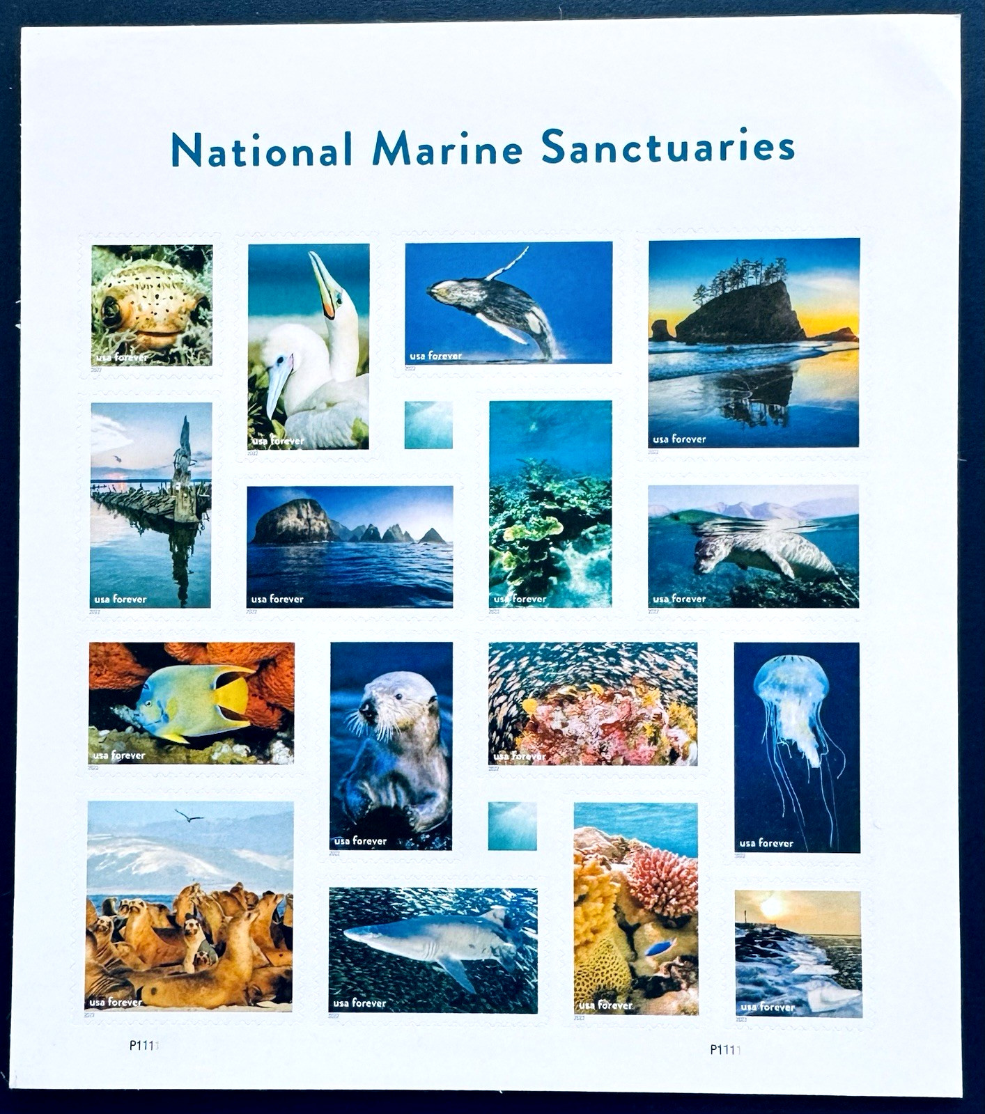 SoCo Stamps Sc #5713-NATIONAL MARINE SANCTUARIES Full Pane 2022 MNH