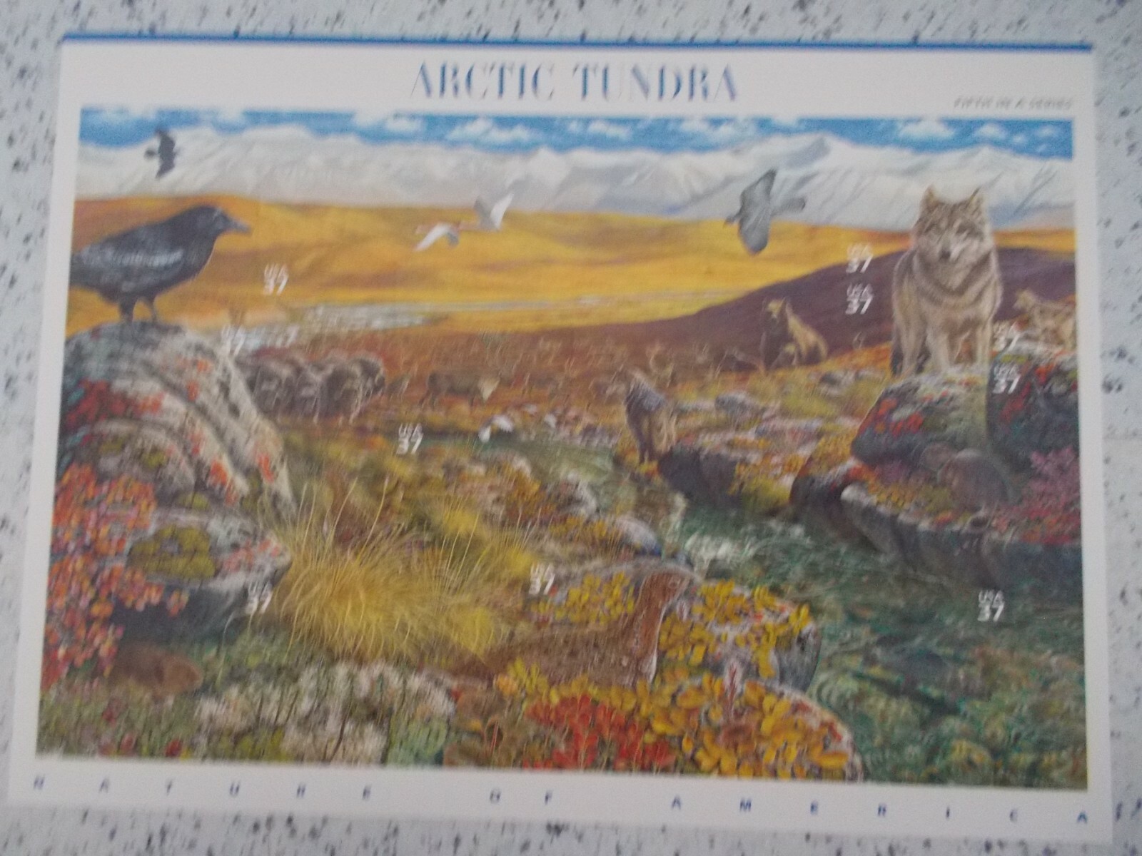 #3802 ARTIC TUNDRA 5th in a Series Sheet of 24 37 CENT STAMPS 2002 MNH