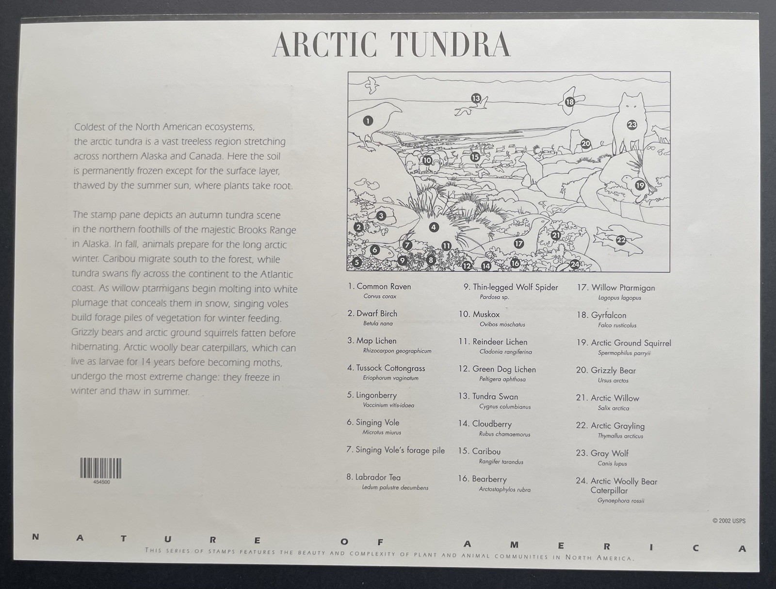 USA 34 Cent Nature of America: Arctic Tundra Postage Stamps, Sheet of 24