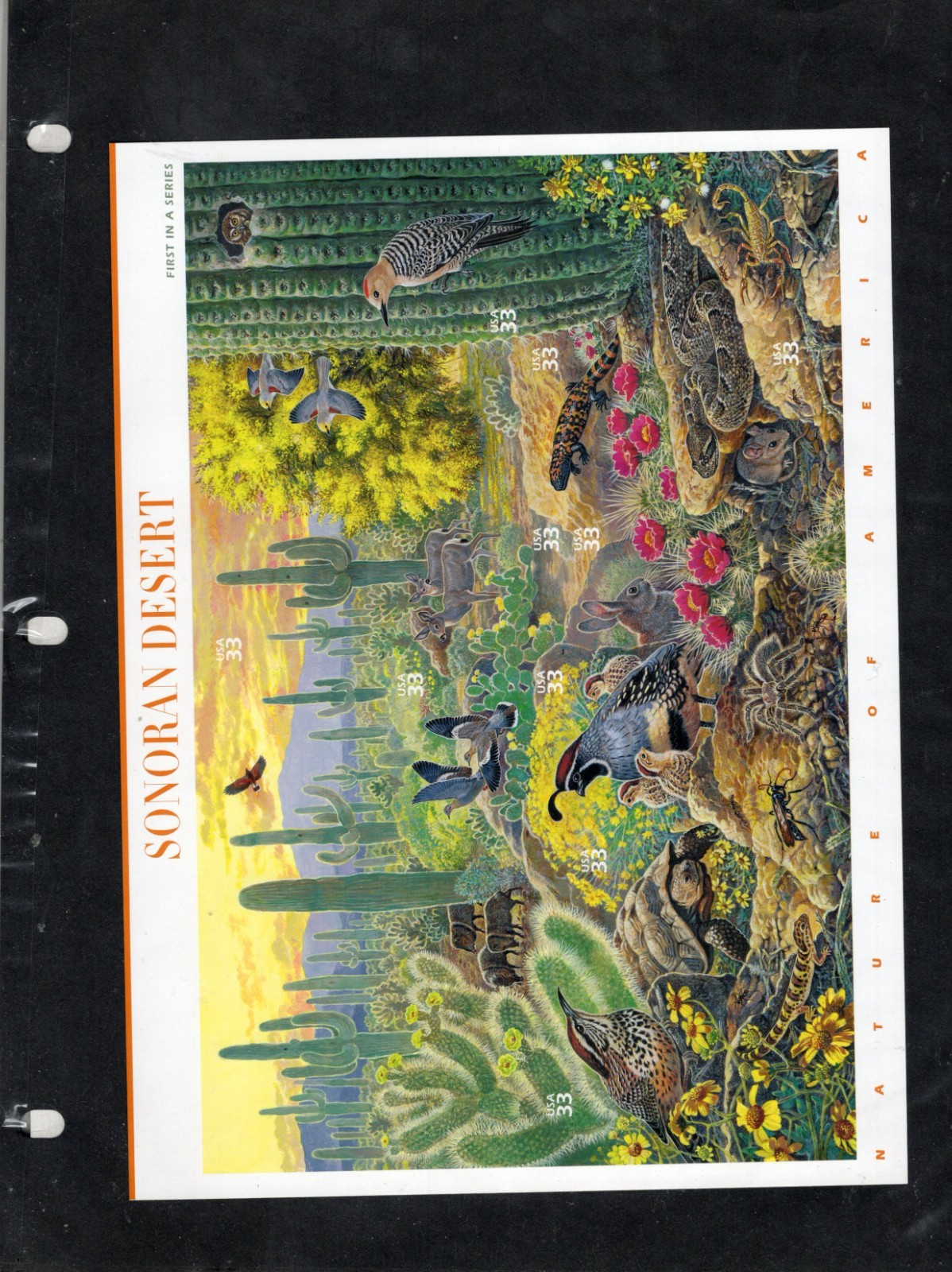 Complete Set of 12 NATURE OF AMERICA Sheets US Postage Stamps USA