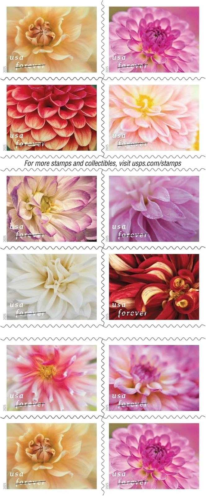 Dahlias 2025 (Book of 20) First-Class Mail Forever Postage Stamps