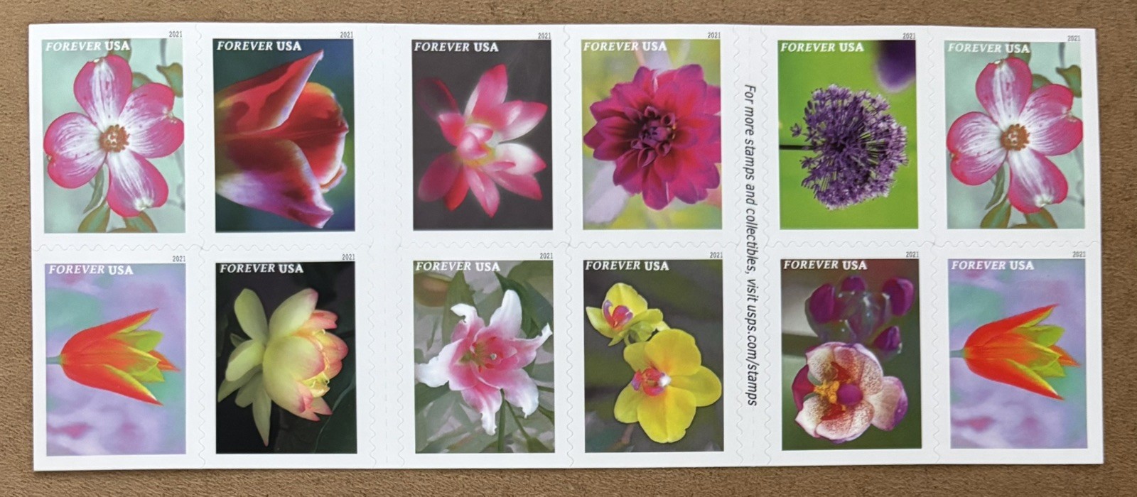 Sheet of 20 Self-adhesive USPS 1st Class Forever Stamps – Garden Beauty NEW!