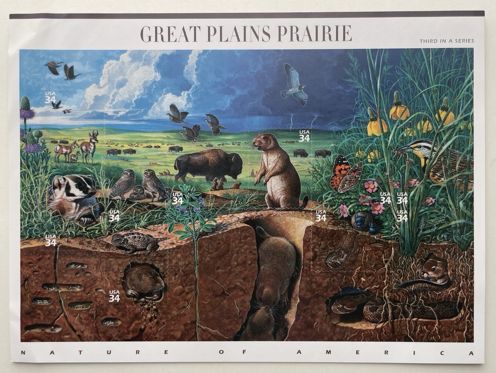 USA 34 Cent Nature of America: Great Plains Prairie Postage Stamps, Sheet of 25