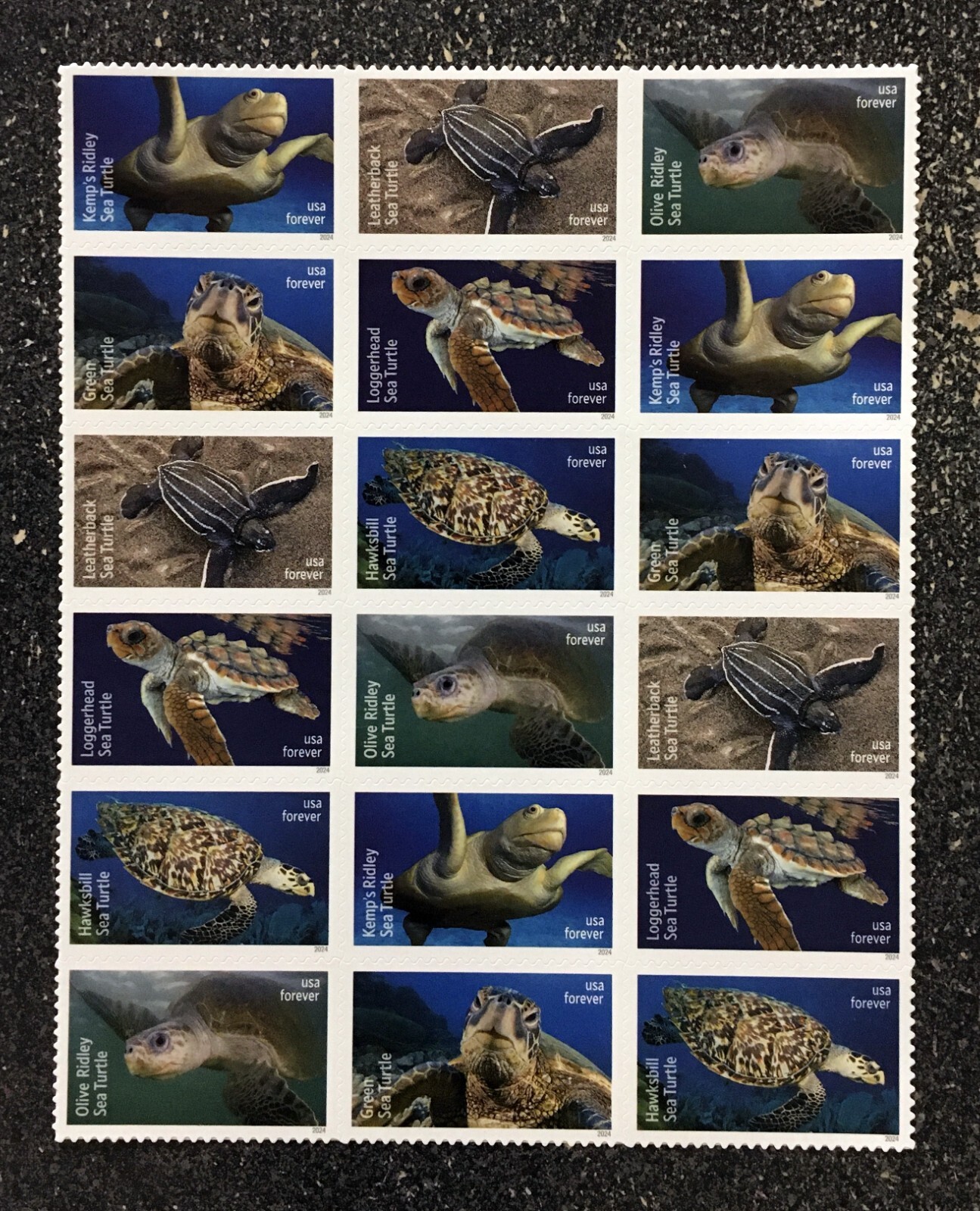2024USA #5865-5870 Forever Protect Sea Turtles – Block of 18 From Sheet mint