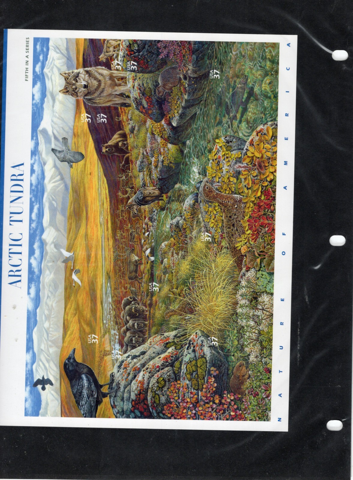 Complete Set of 12 NATURE OF AMERICA Sheets US Postage Stamps USA