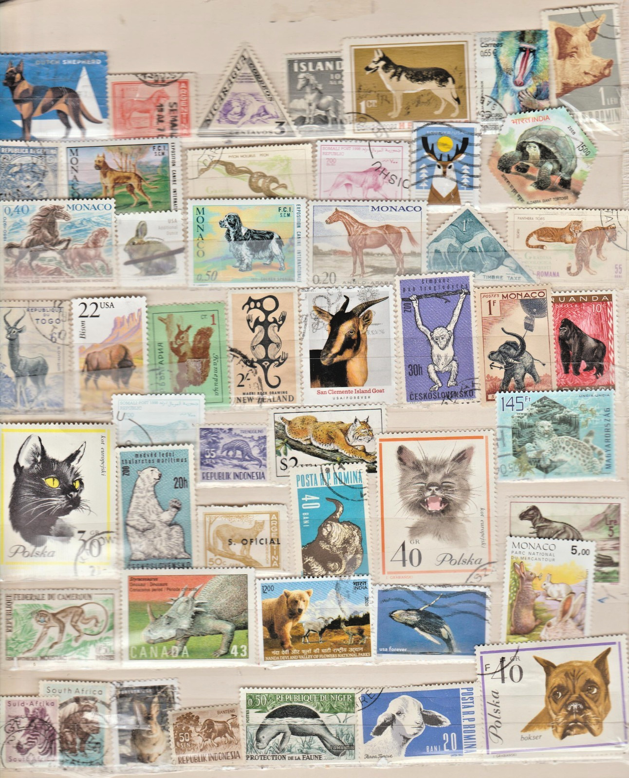 Animal 49 stamps postage, wildlife theme collection