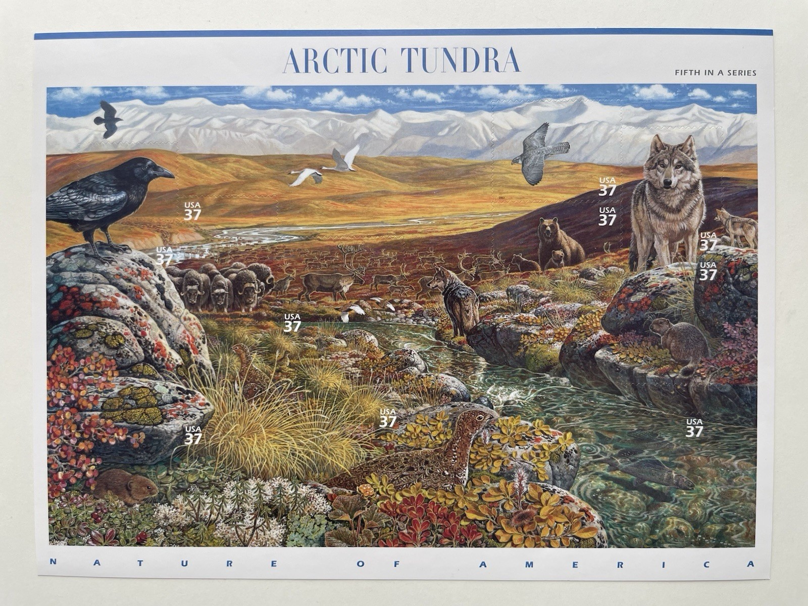 USA 34 Cent Nature of America: Arctic Tundra Postage Stamps, Sheet of 24