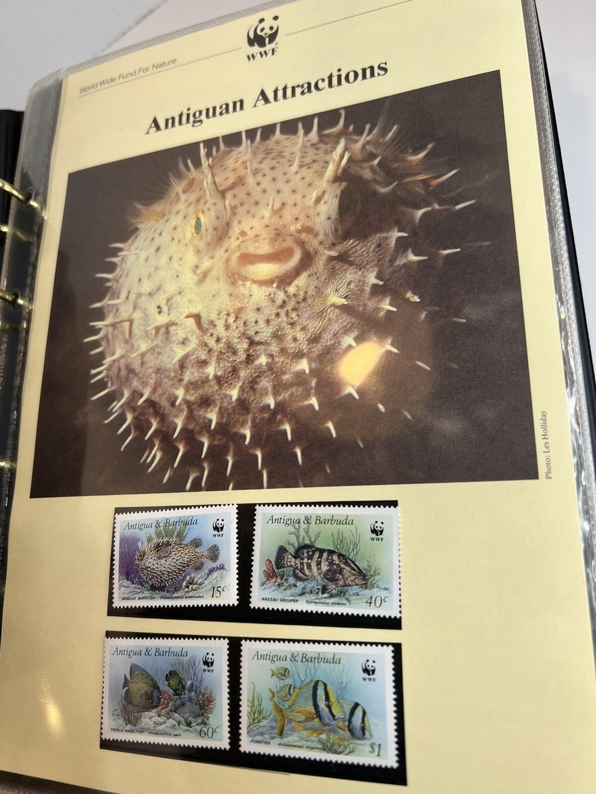 OFFICIAL WORLD WILDLIFE WWF CONSERVATION STAMP postcard COLLECTION 60 Page, 1987