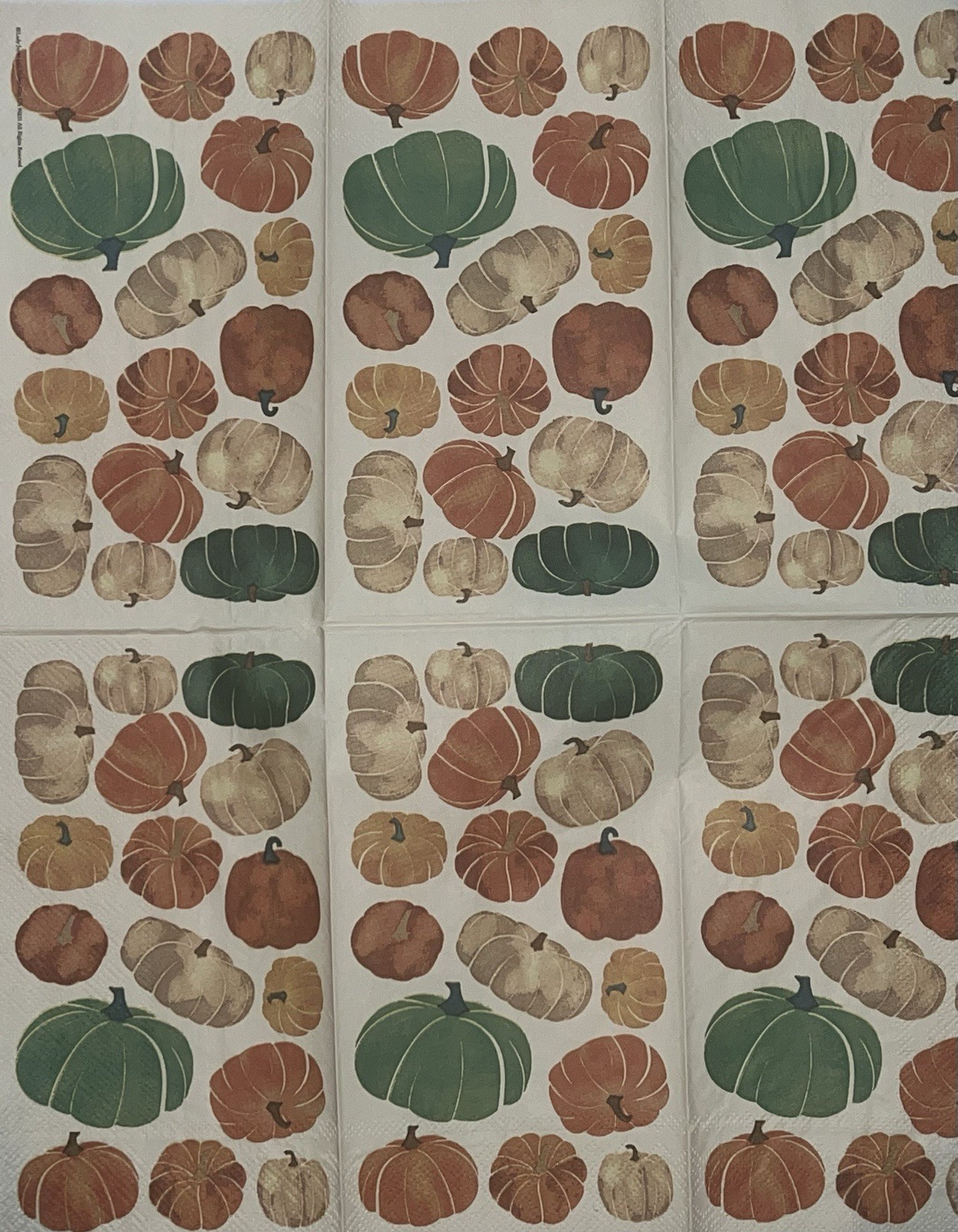 TWO Individual Dinner Decoupage Napkins/autumn/Halloween/pumpkins/fall/ Pumpkin