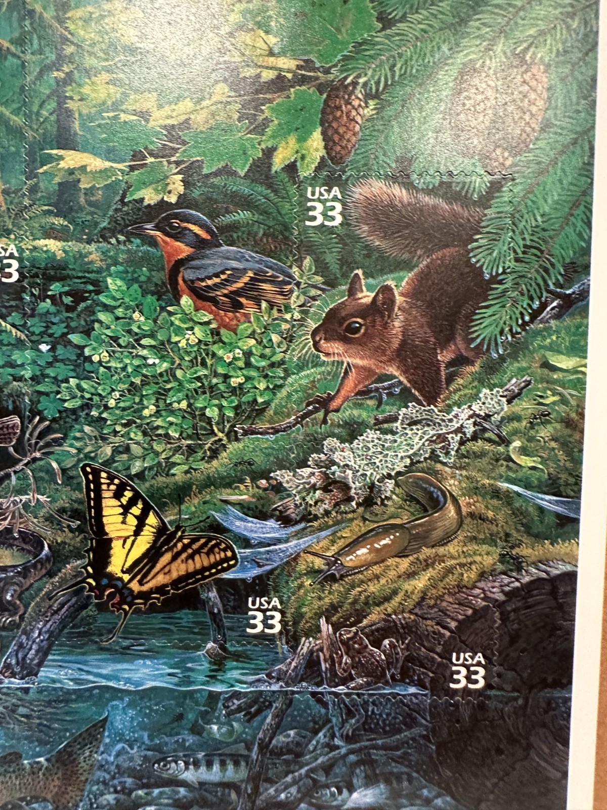 United States 33¢ Pacific Coast Rain Forest Nature Series #3378 MNH Full Sheet