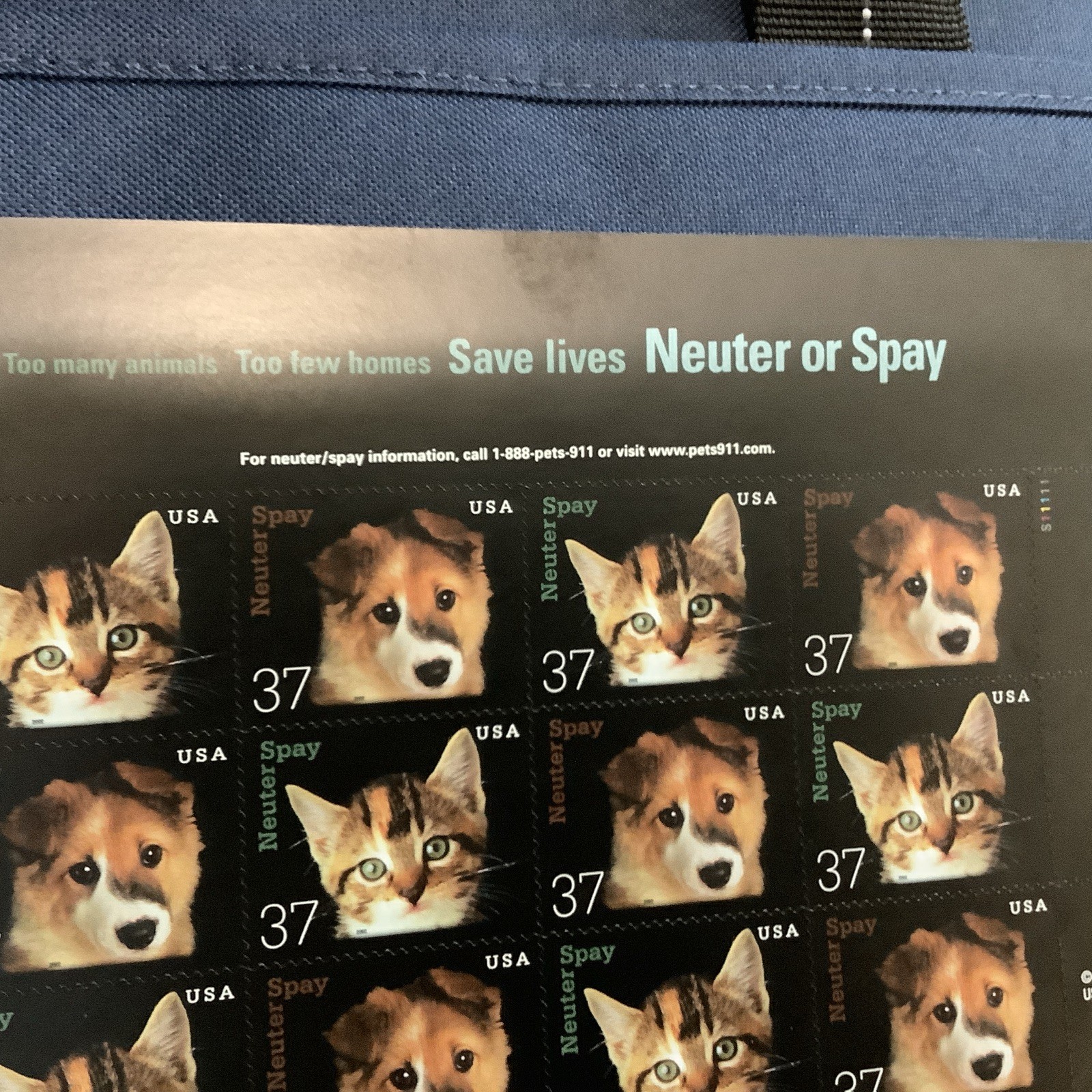 Scott 3670-1 Neuter or Spay Cats and Dogs – MNH – Pane of 20