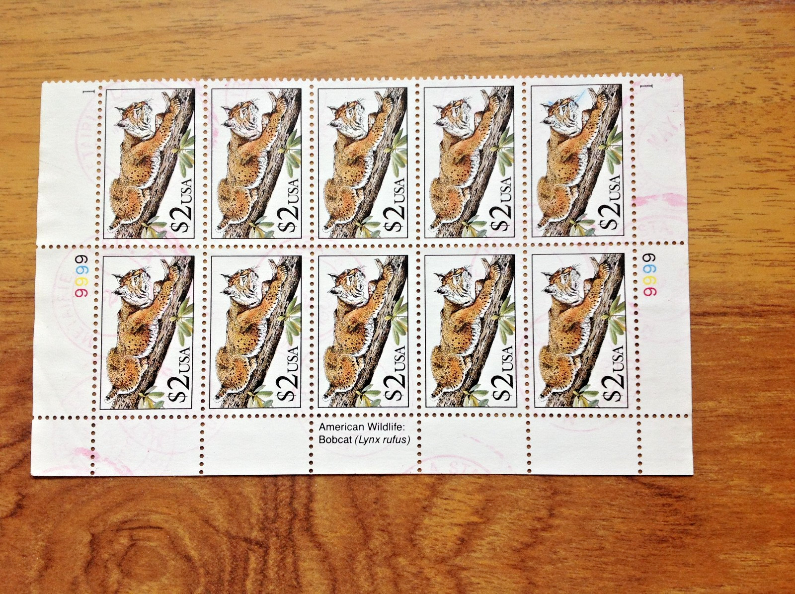 USA 1990 $2 Bobcat (Lynx rufus) Block of 10 Used Stamps. Free UK Postage