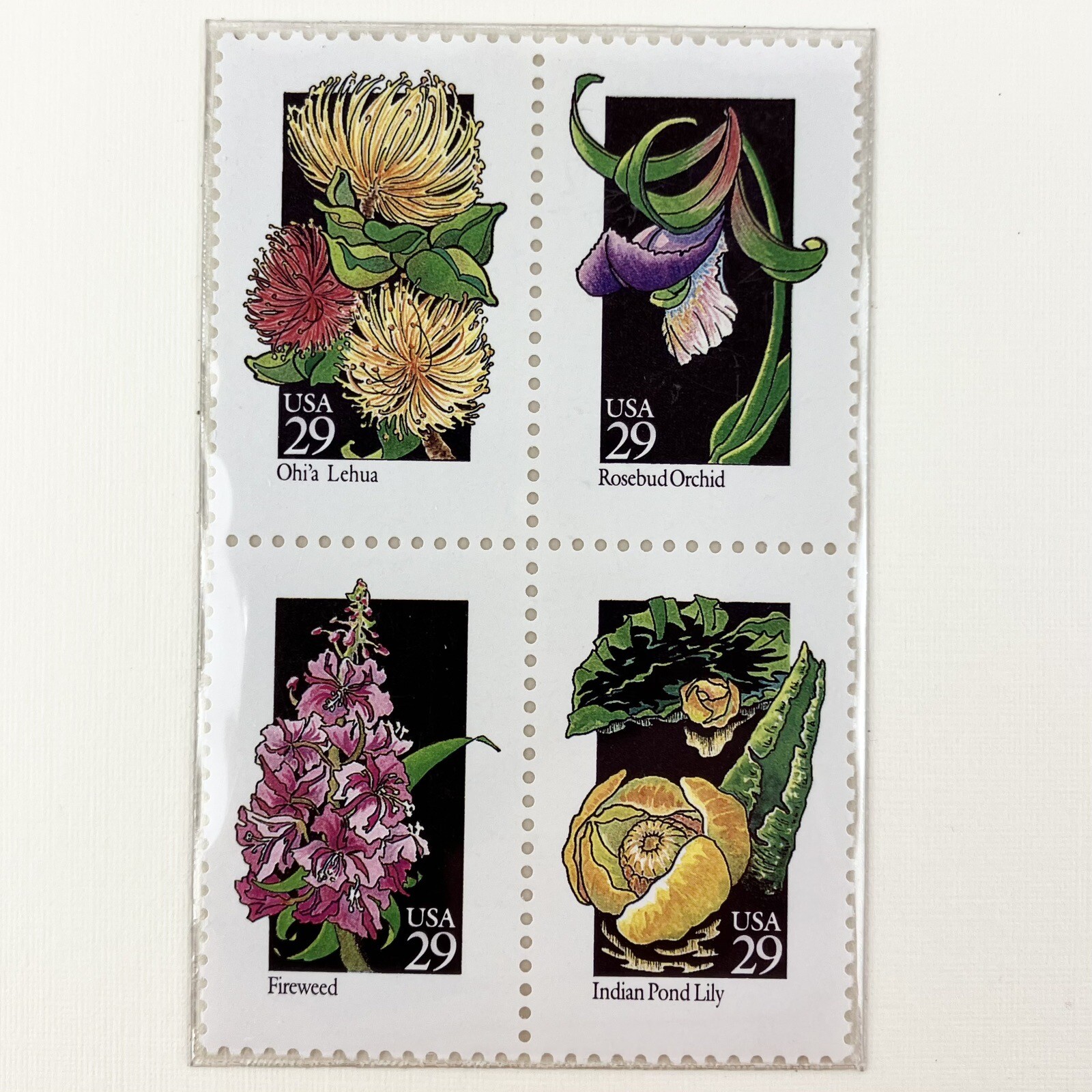 Chuck Ripper American Wildflowers Postage Stamp Art USPS Farmable Gift 1992