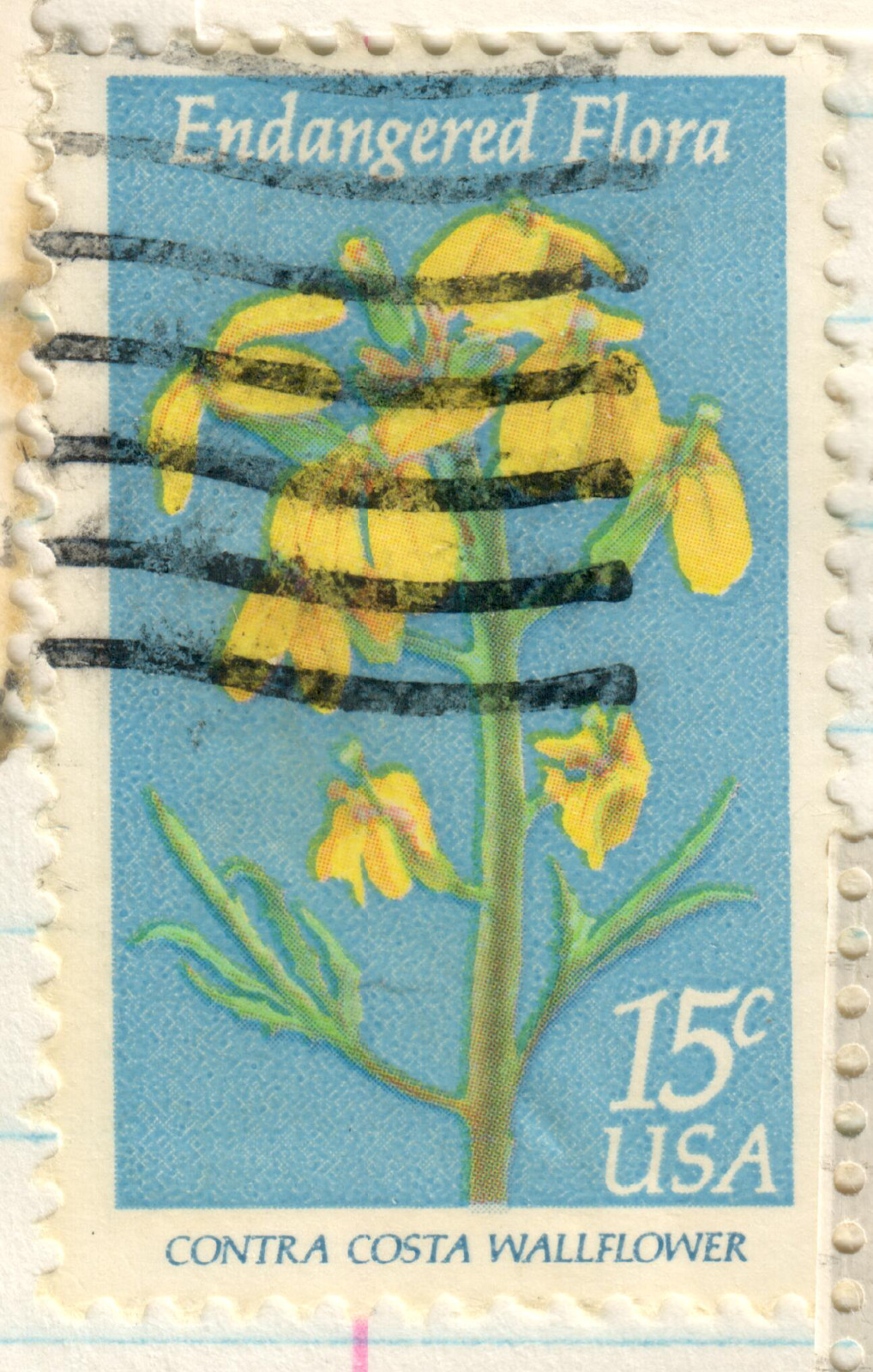 USA – 1979 Flowers – Endangered Flora – Erysinum capitatium