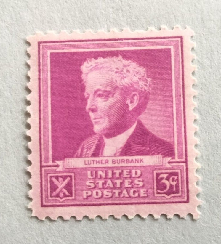 US Stamps, people, NOT presidents, 24 stamps, 23 patterns, MNH