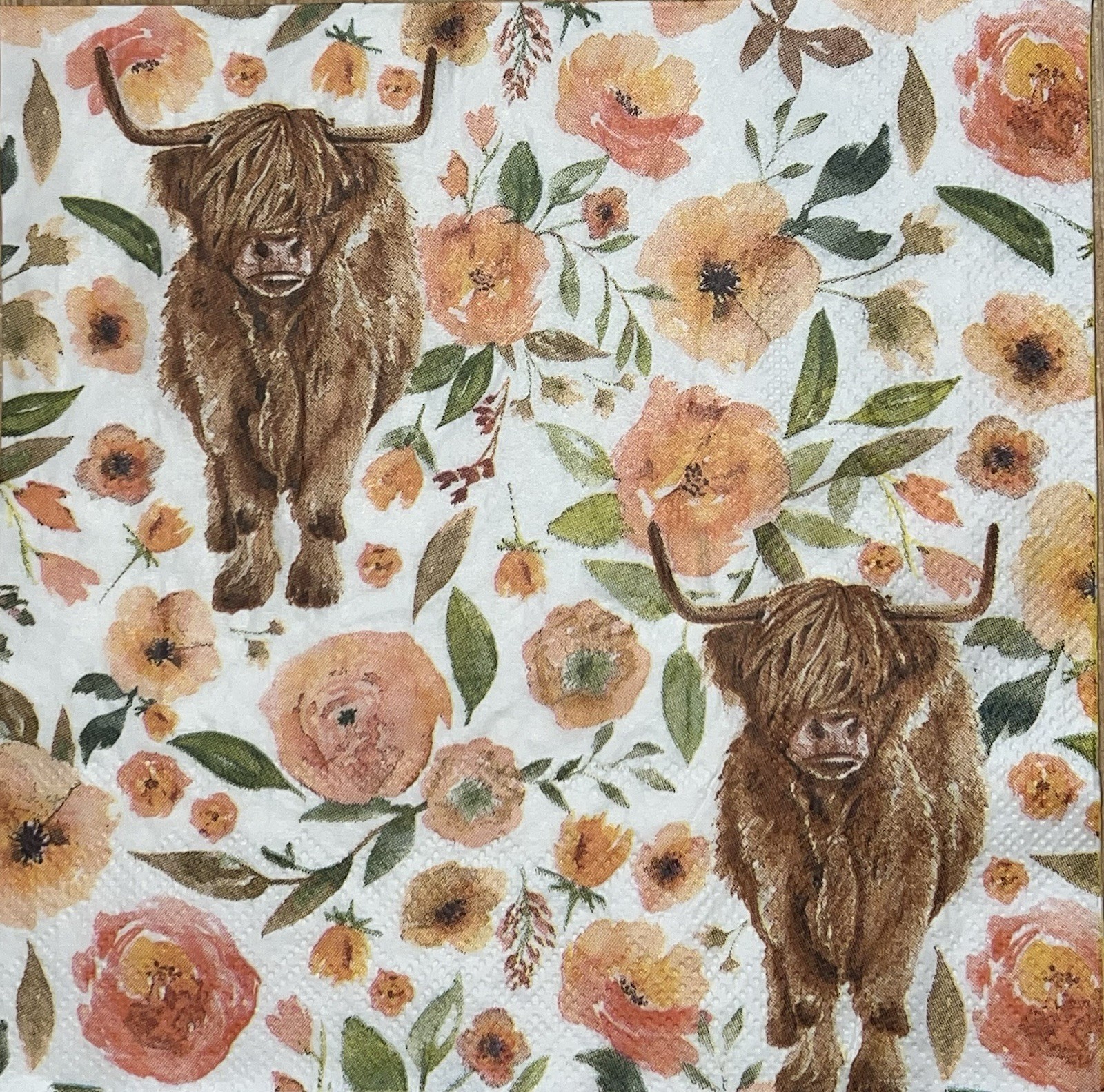 Two Paper Lunch Napkins Decoupage Fall Highland Cow Pumpkins – 6.5×6.5”