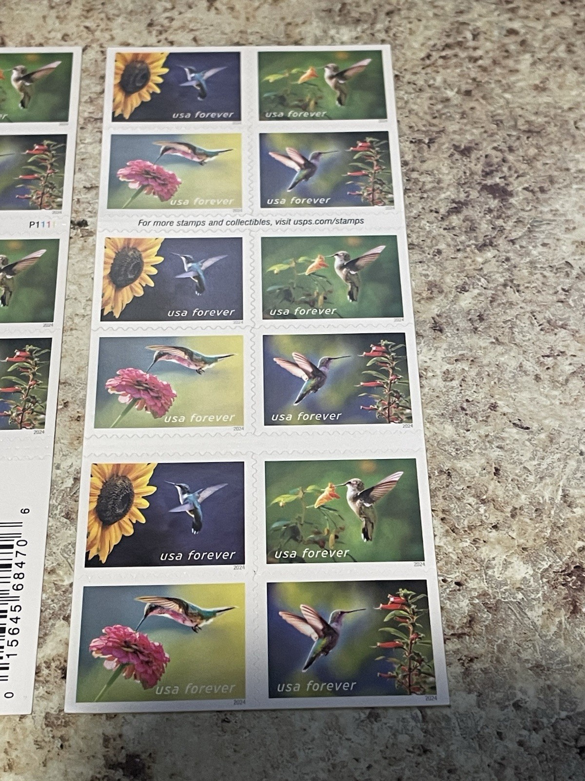Garden Delights (Booklet of 20) Forever Stamps 2024 Post Office Fresh – Sharp