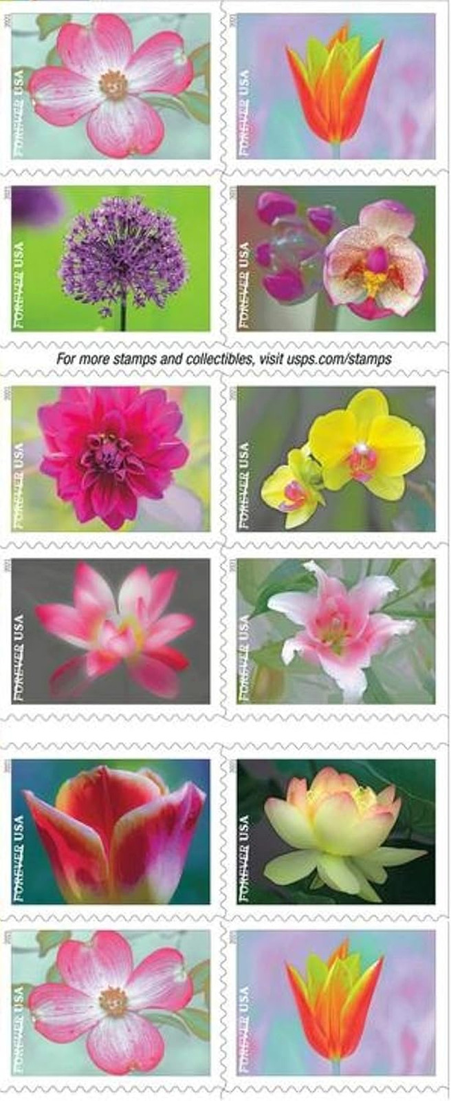 Garden Beauty Forever Postage Stamps Book of 20 Self-Stick First Class Wedding C