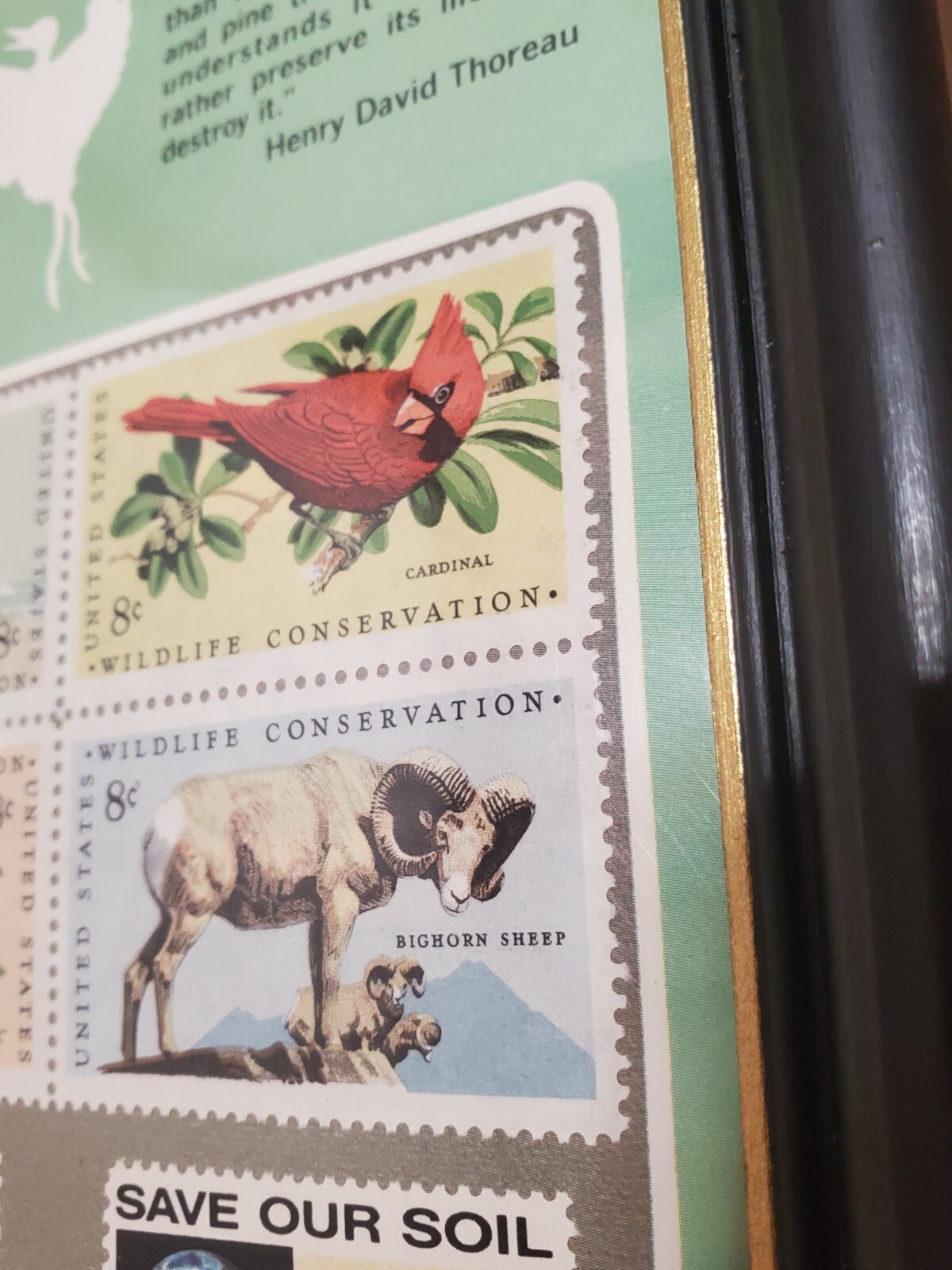 Conservation Stamps in Frame! sSx/Eight Cent Stamp Wildlife — Henry Thoreau
