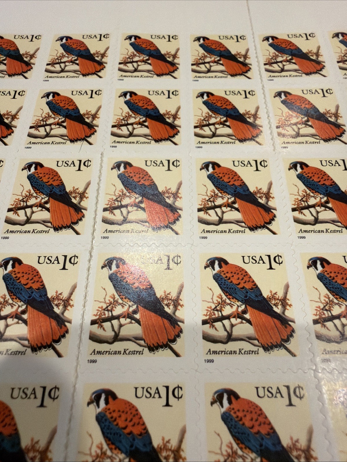 30 USA Stamps .. Kestrel Bird Block Water Activated/Self-adhesive Rare