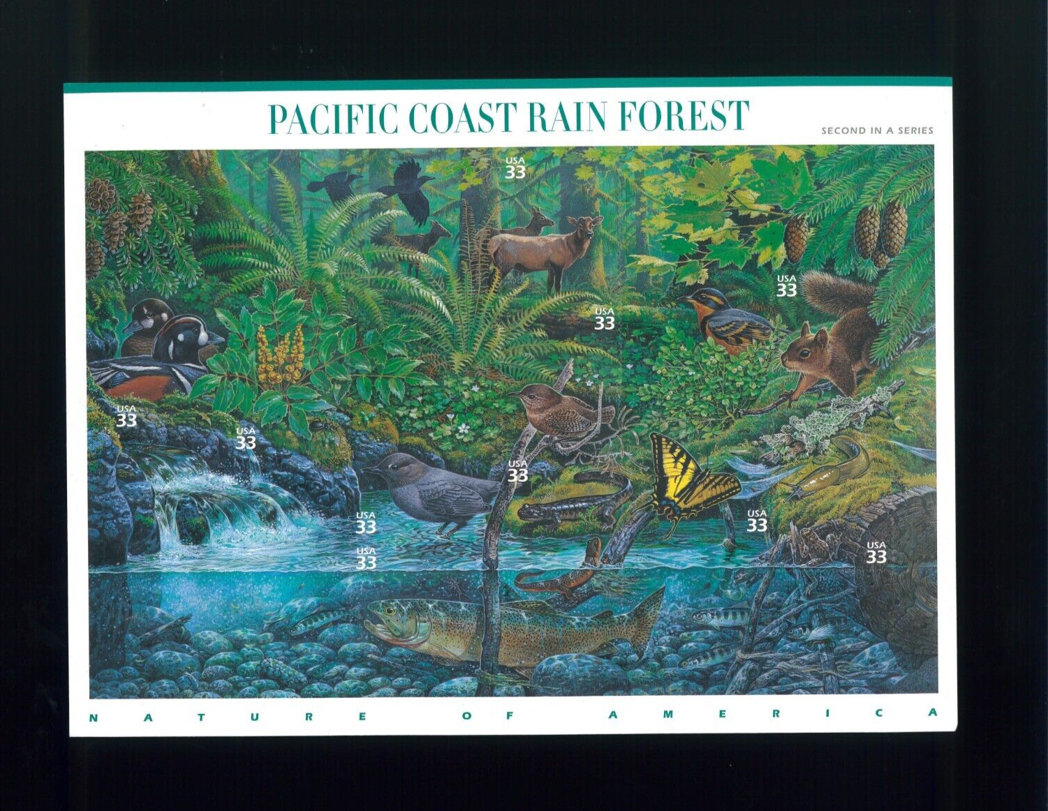United States 33¢ Pacific Coast Rain Forest Postage Stamps #3378 MNH Full Sheet