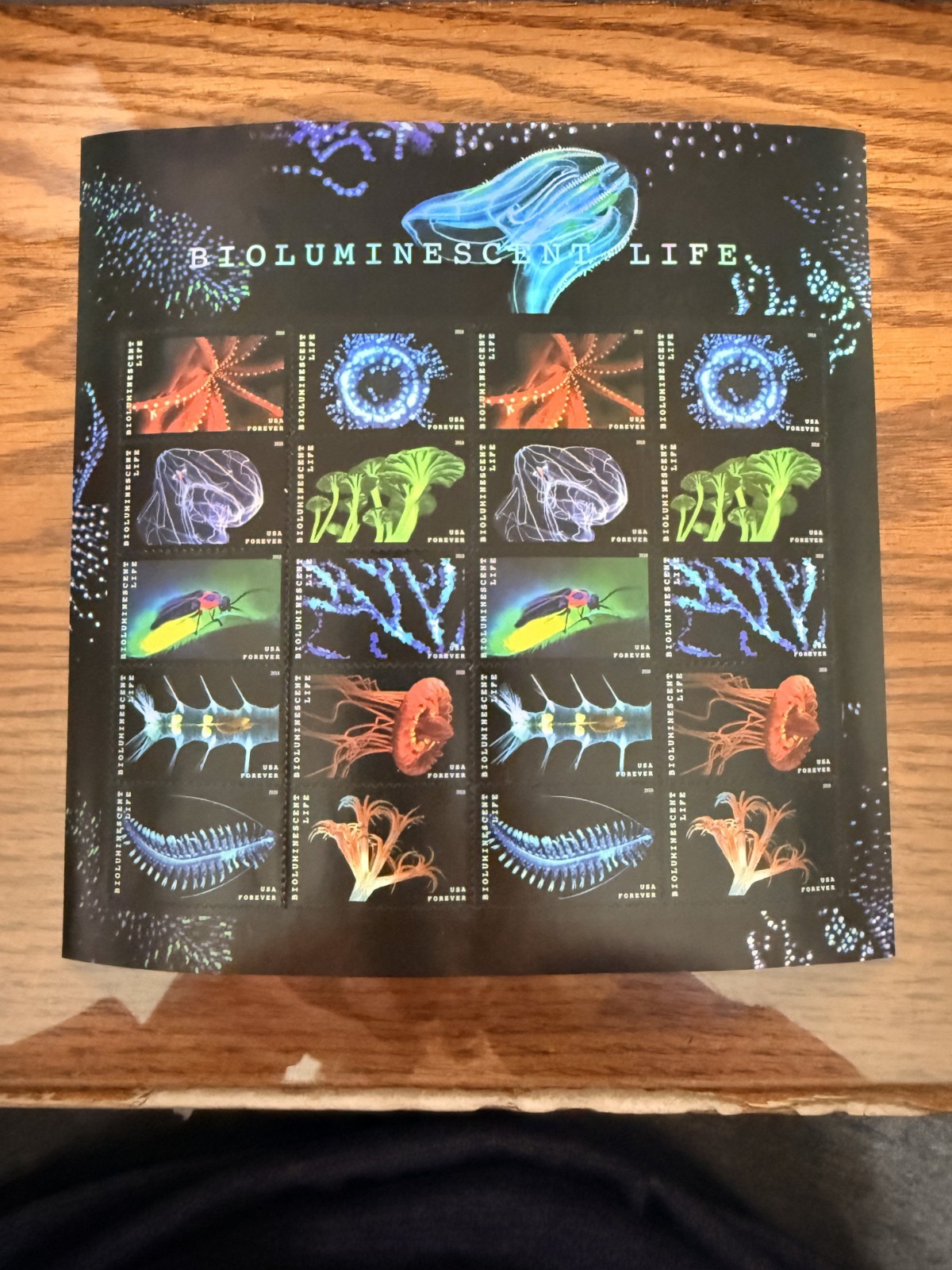 US SCOTT 5264 – 5273 SHEET OF 20 BIOLUMINESCENT LIFE FOREVER STAMPS MNH