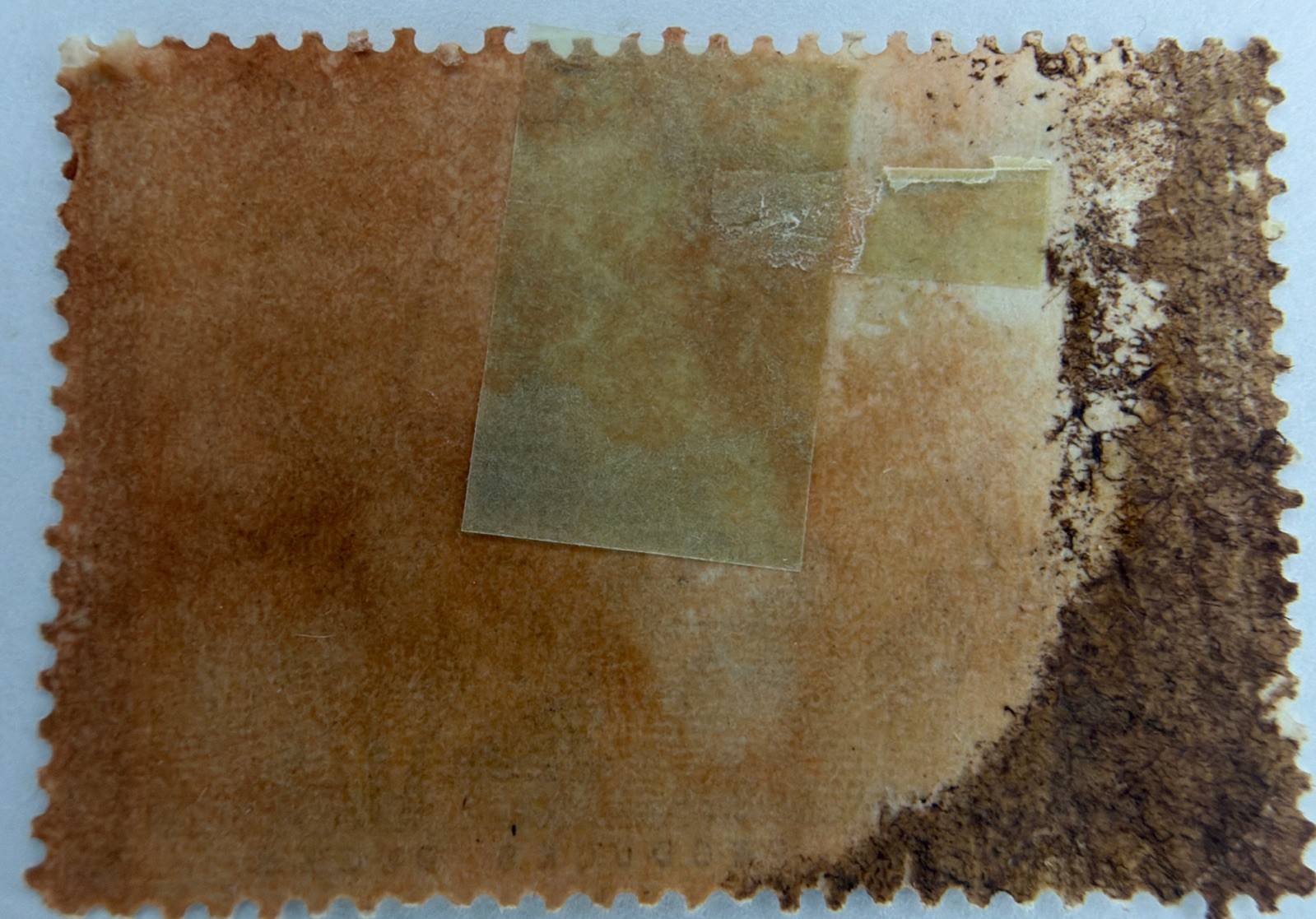 RW28 – Federal Duck Stamp D44