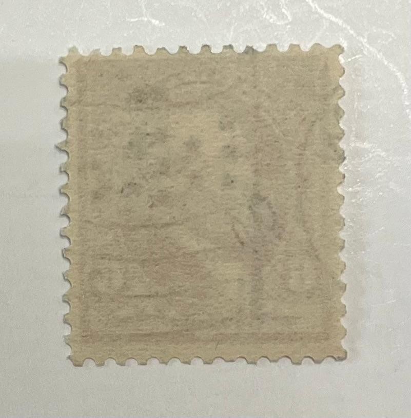 US Postage Scott #224, 6-cent Garfield, brown red, Flag Cancel, Never Hinged