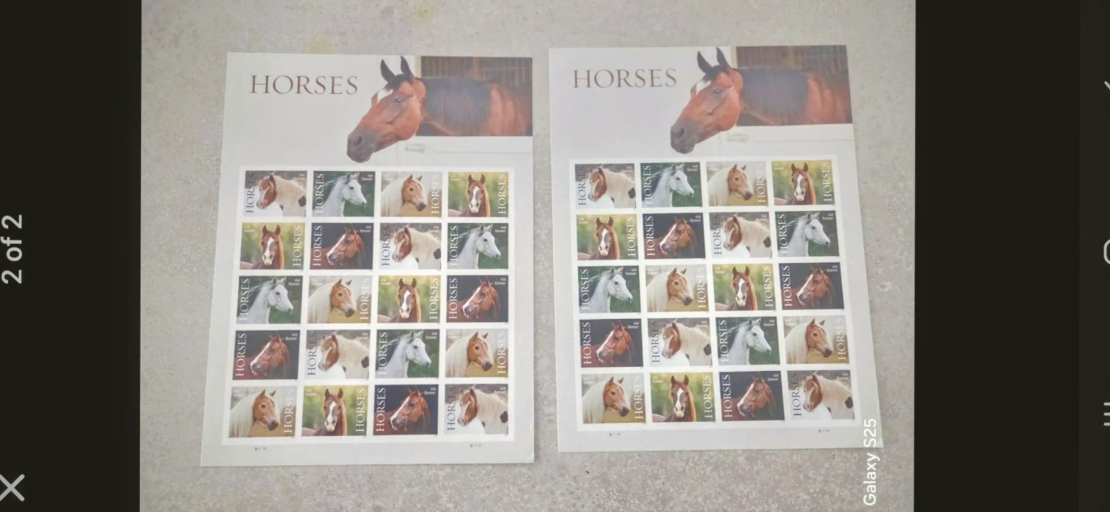 USA 2024 FOREVER Stamps MNH HORSES Plate Block Sheet of 20 US MINT FREE SHIPPING