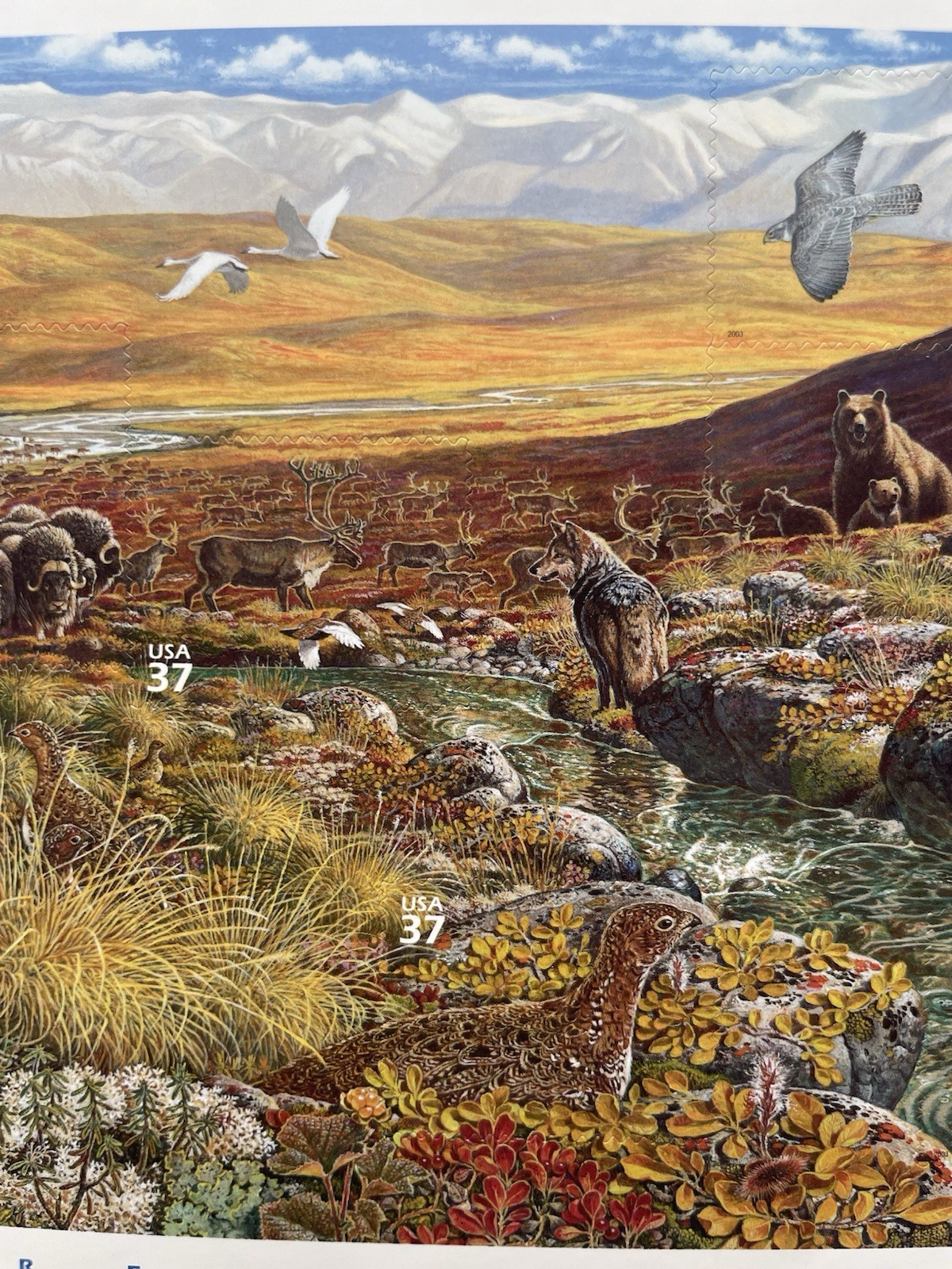 USA 34 Cent Nature of America: Arctic Tundra Postage Stamps, Sheet of 24