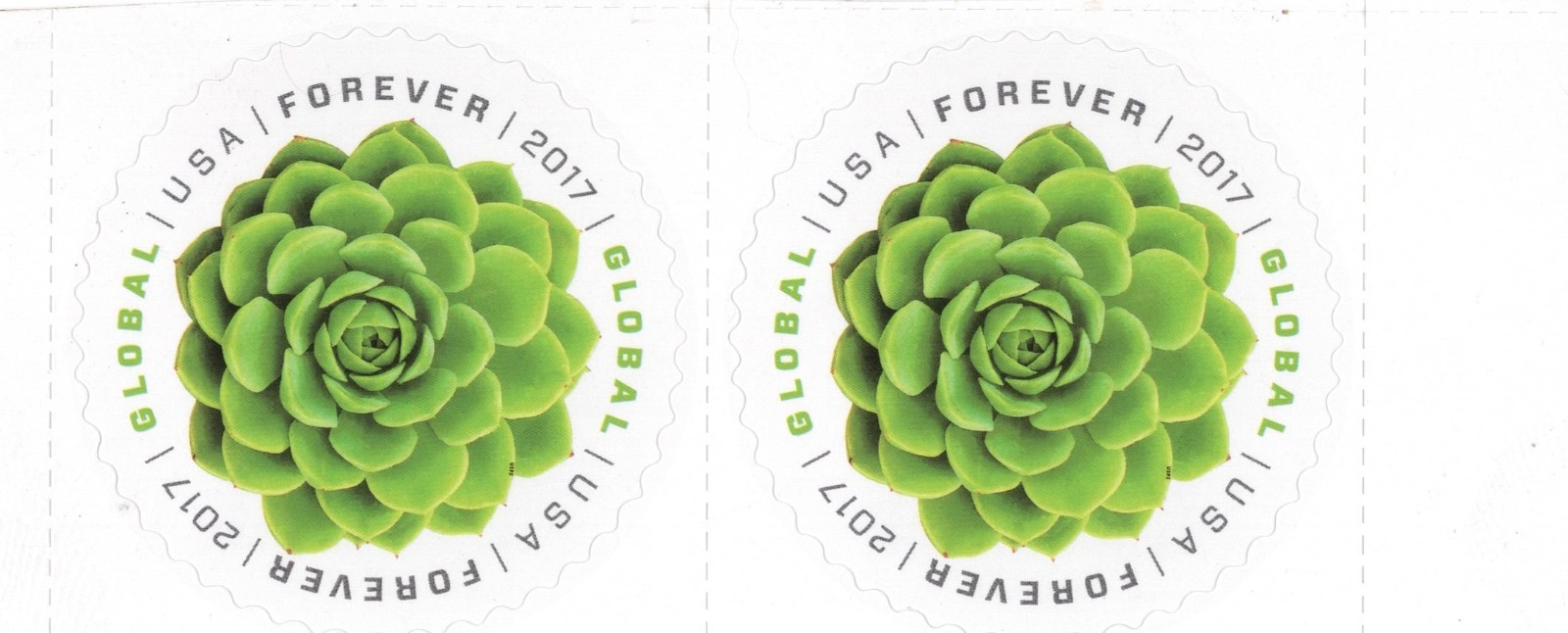 2 Global Green Succulent Forever Stamps 1 ounce global or $1.70 domestic postage