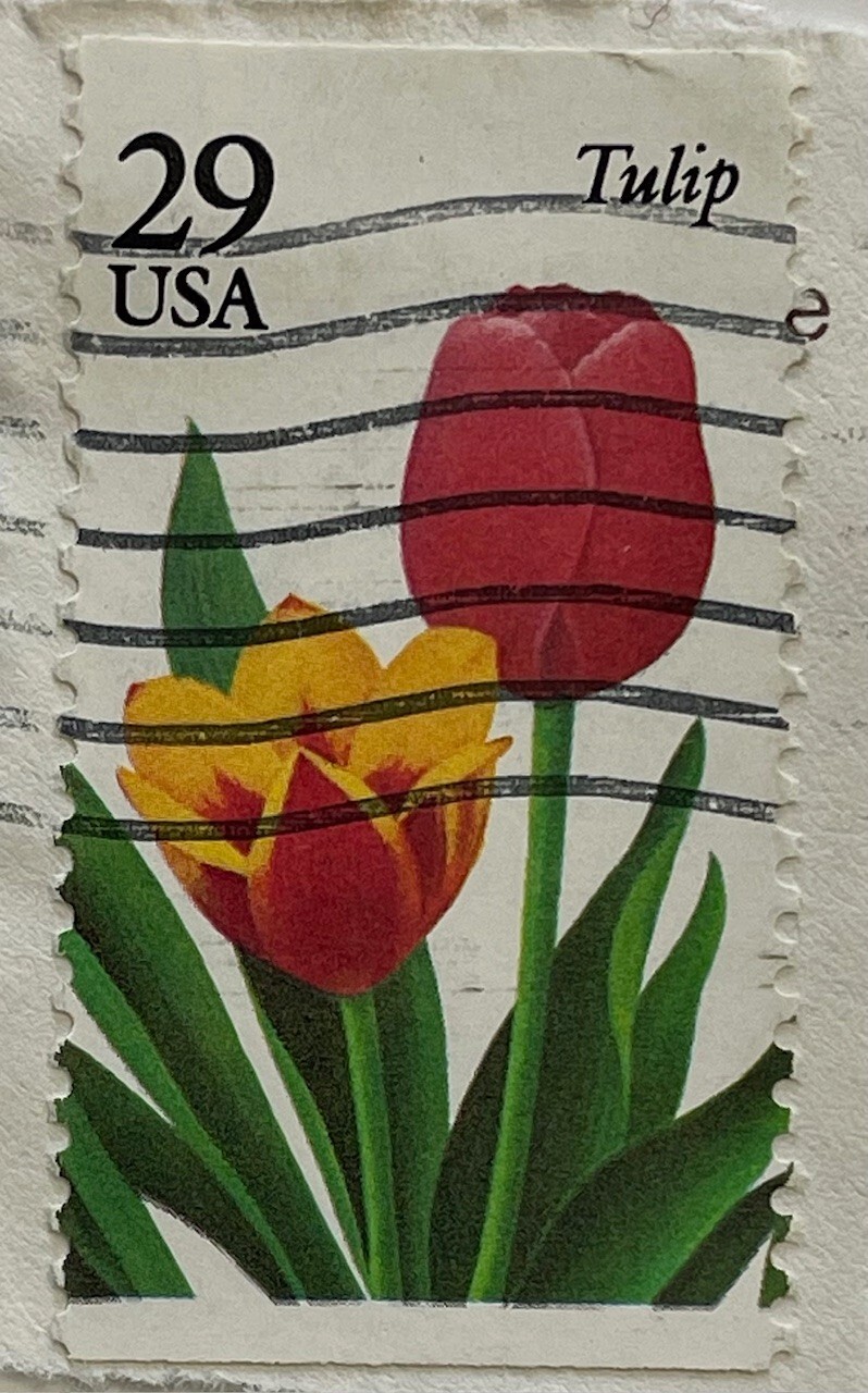 United States Postage Stamp 29 Cents Tulip Canceled USA Flower