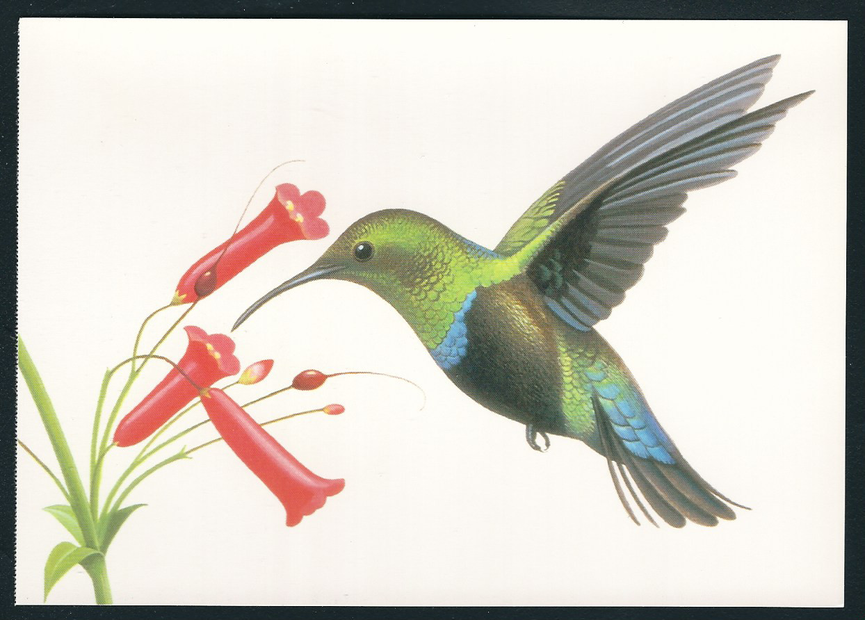 1997…20 Cent…Hummingbird…2 Postcards