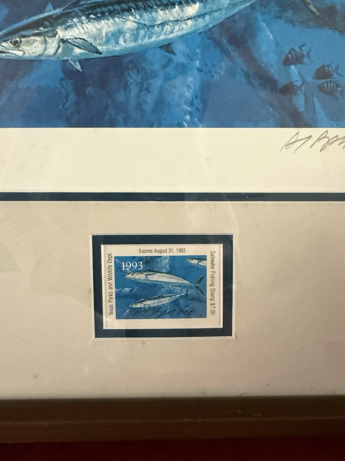 Texas Saltwater Stamp 1993
