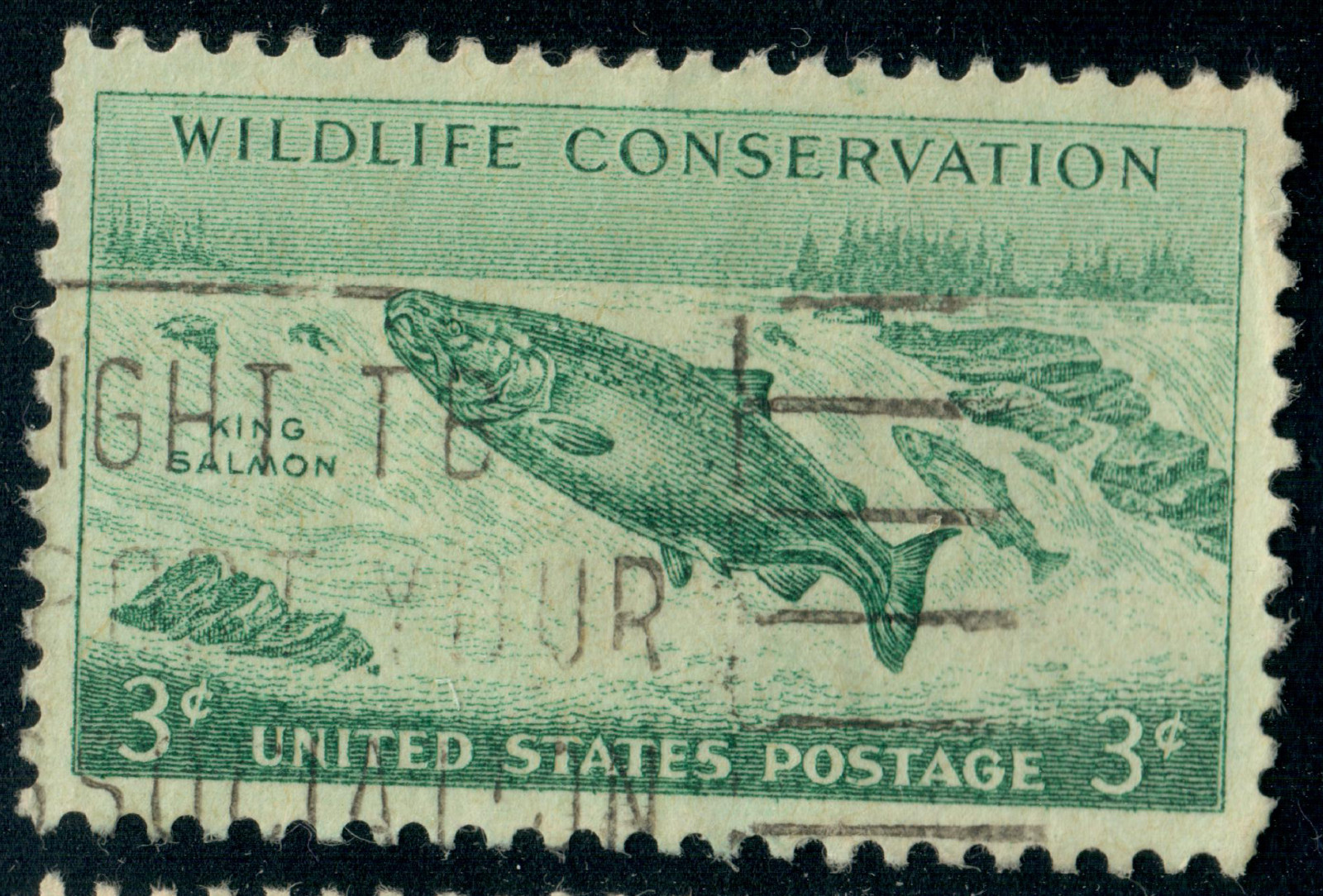 USA – 1956 – Wildlife Conservation – Oncorhynchus tshawytscha – 3¢ – #2956